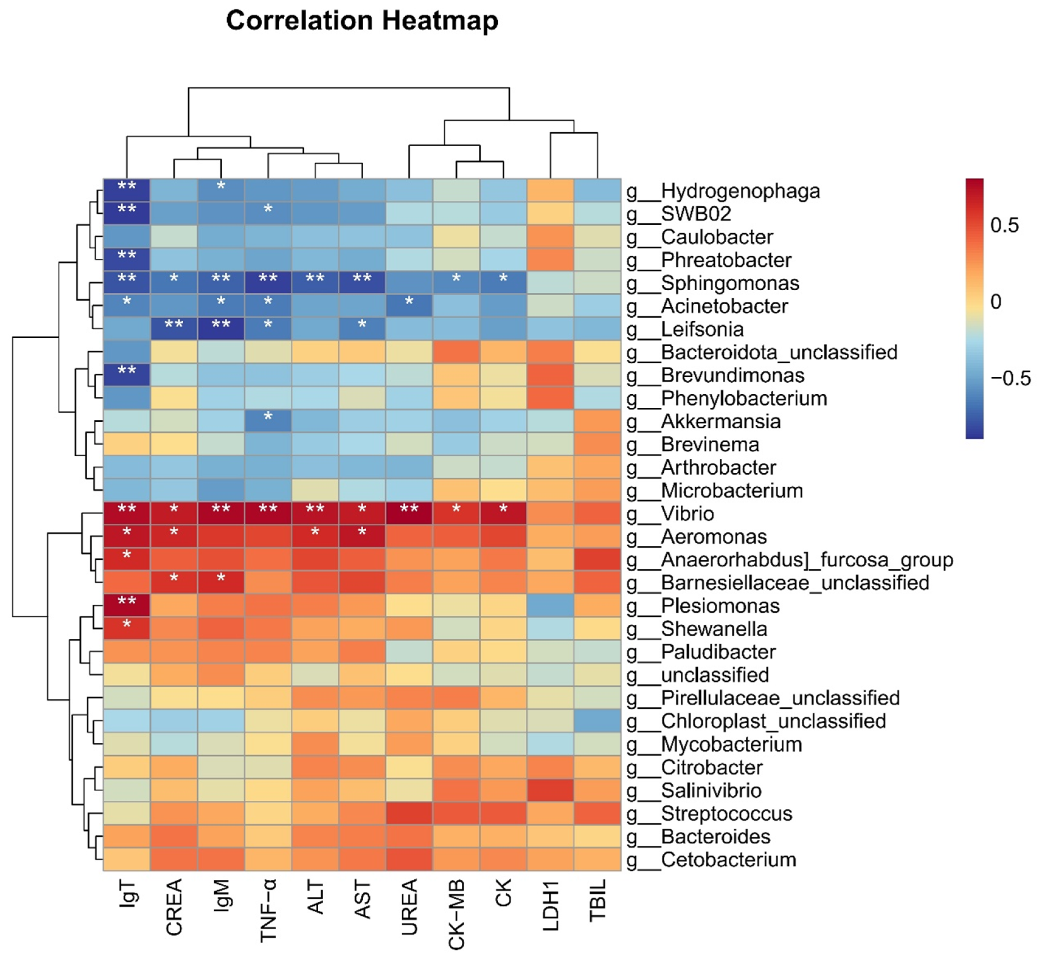 Microorganisms 13 00872 g008