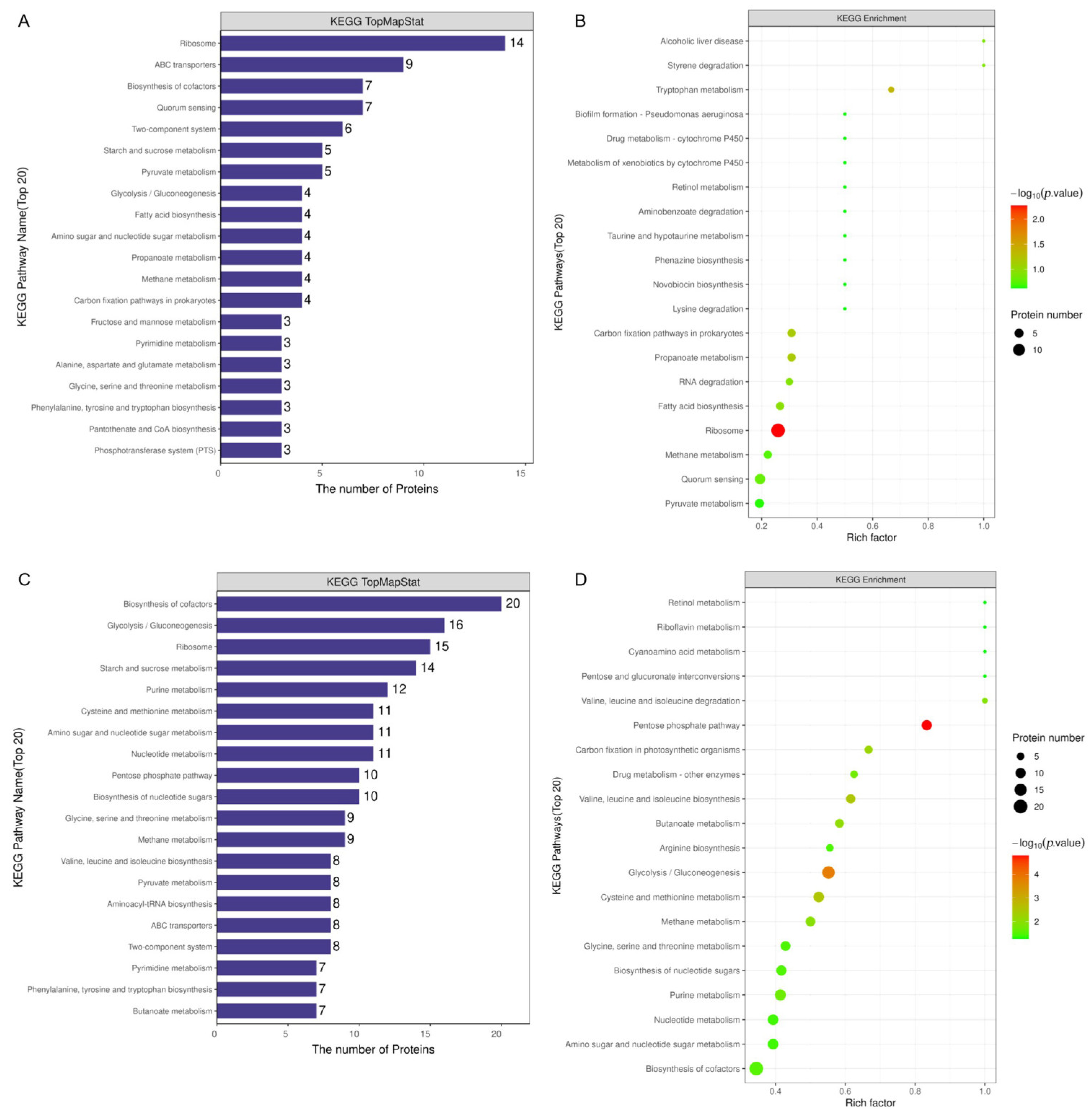 Microorganisms 13 00884 g009