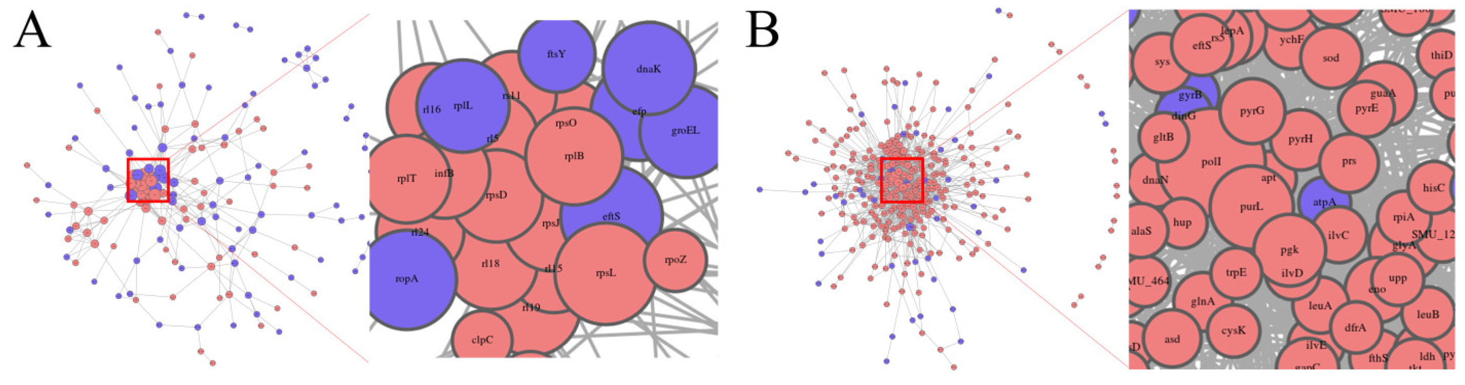 Microorganisms 13 00884 g010