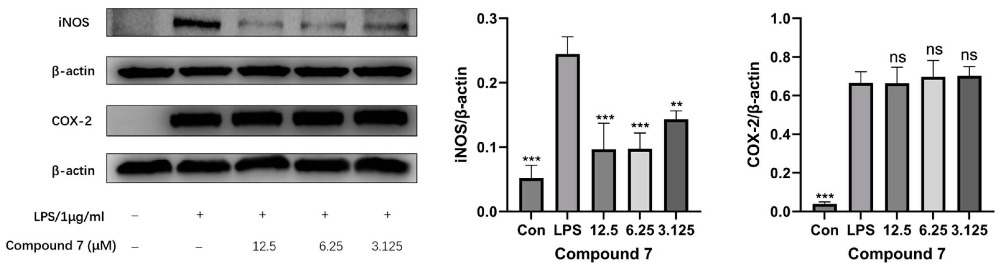 Microorganisms 13 00890 g008