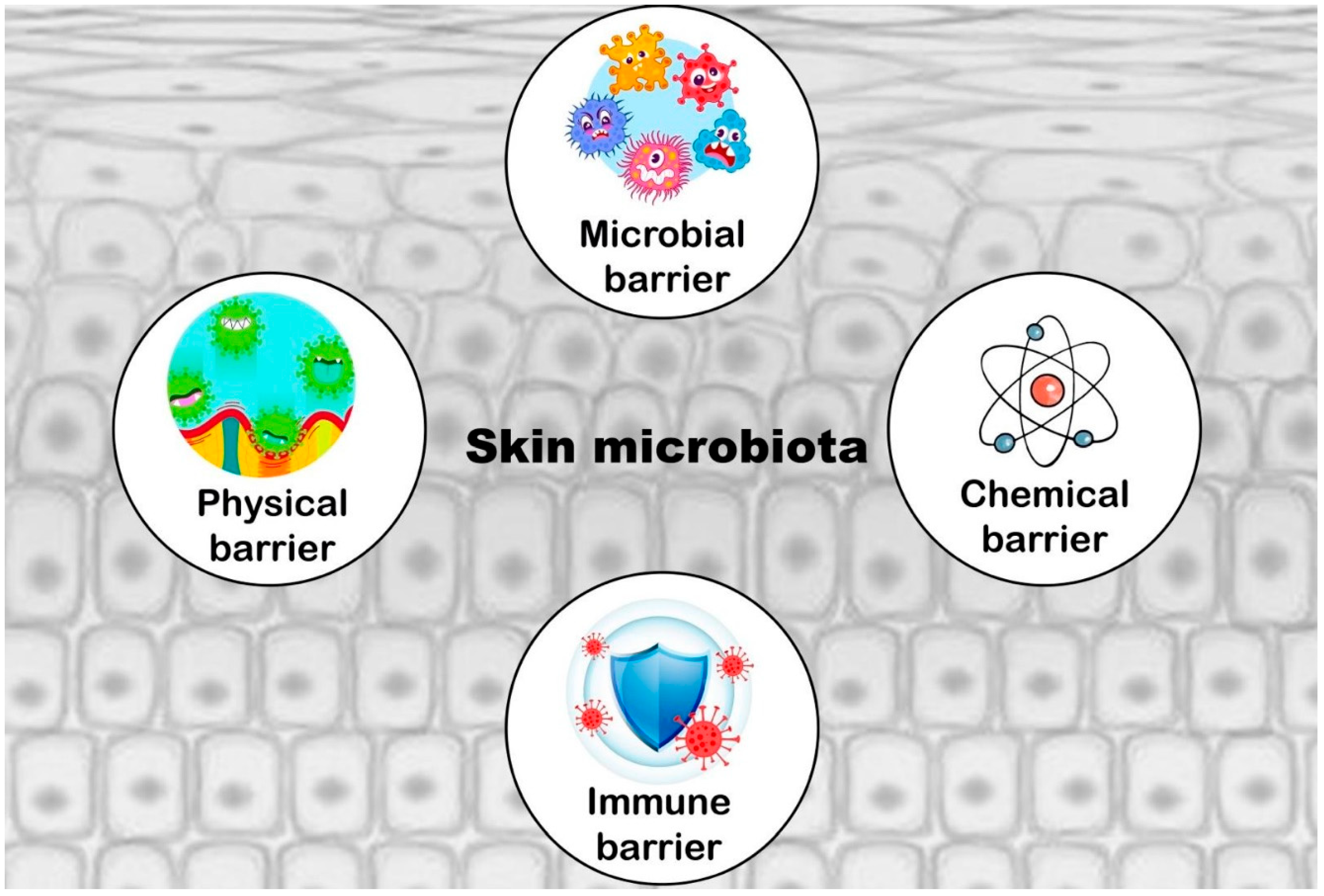 Microorganisms 13 00898 g001 Microorganisms 13 00898 g001