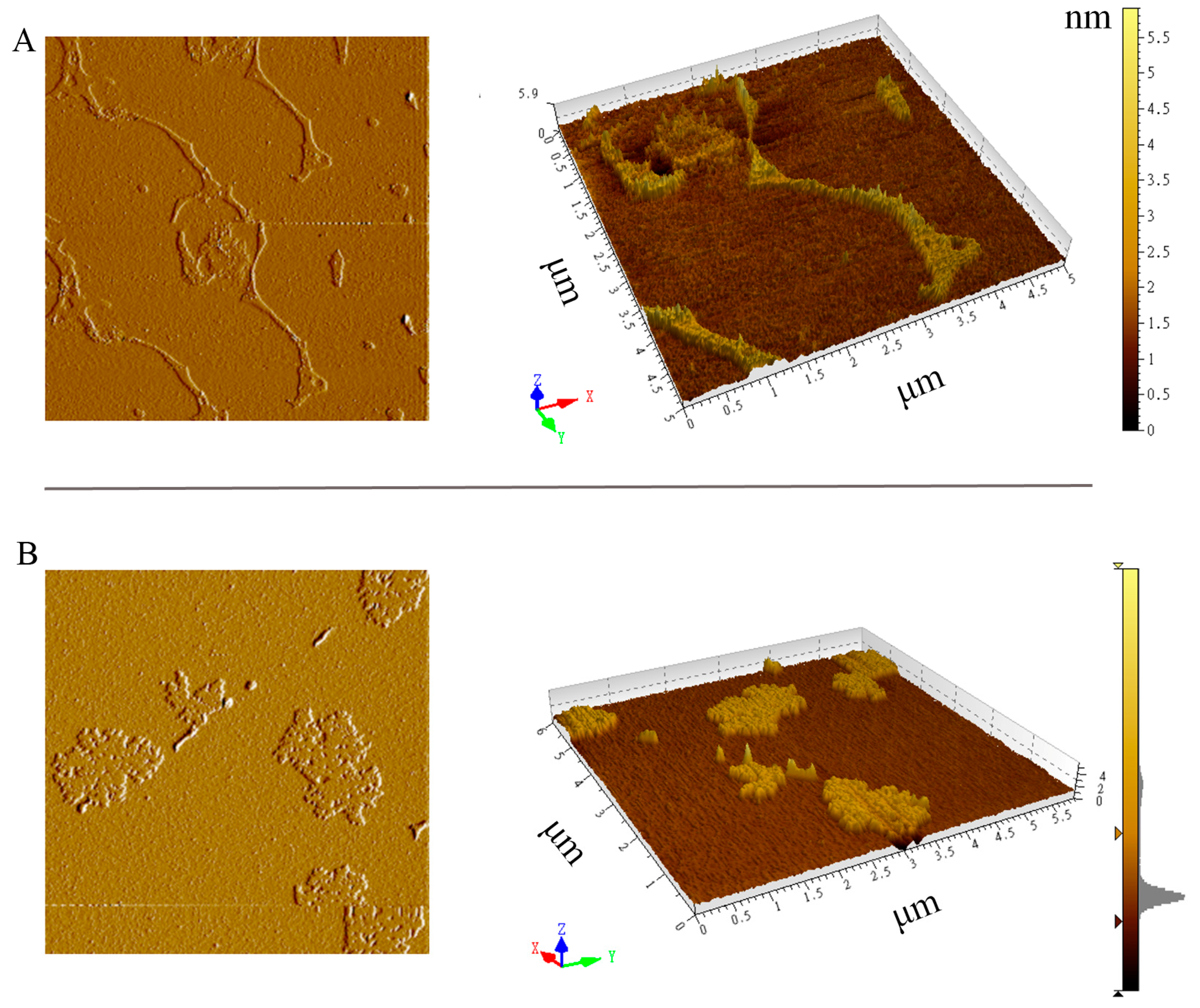 Microorganisms 13 00903 g005