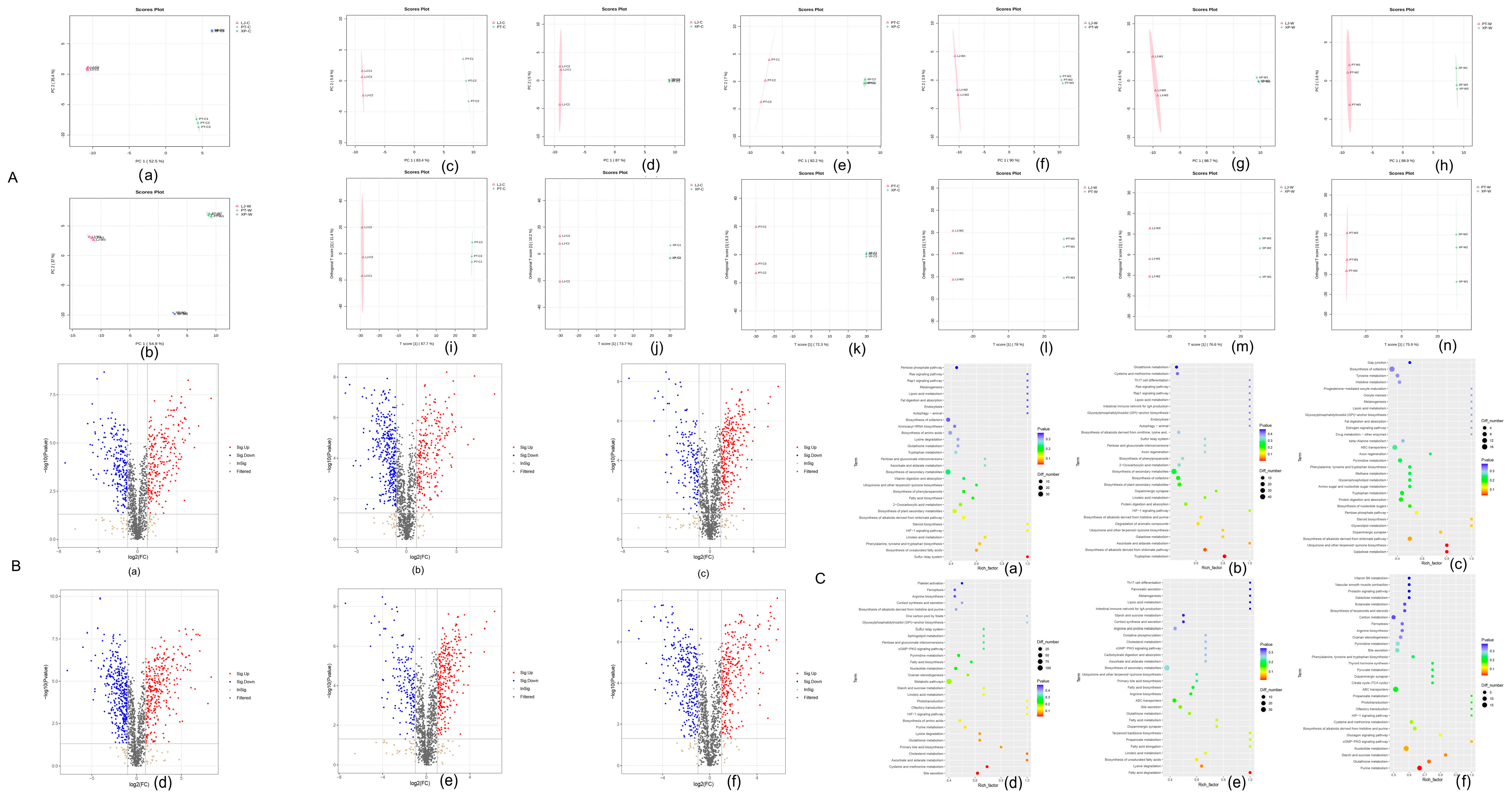 Microorganisms 13 00915 g004