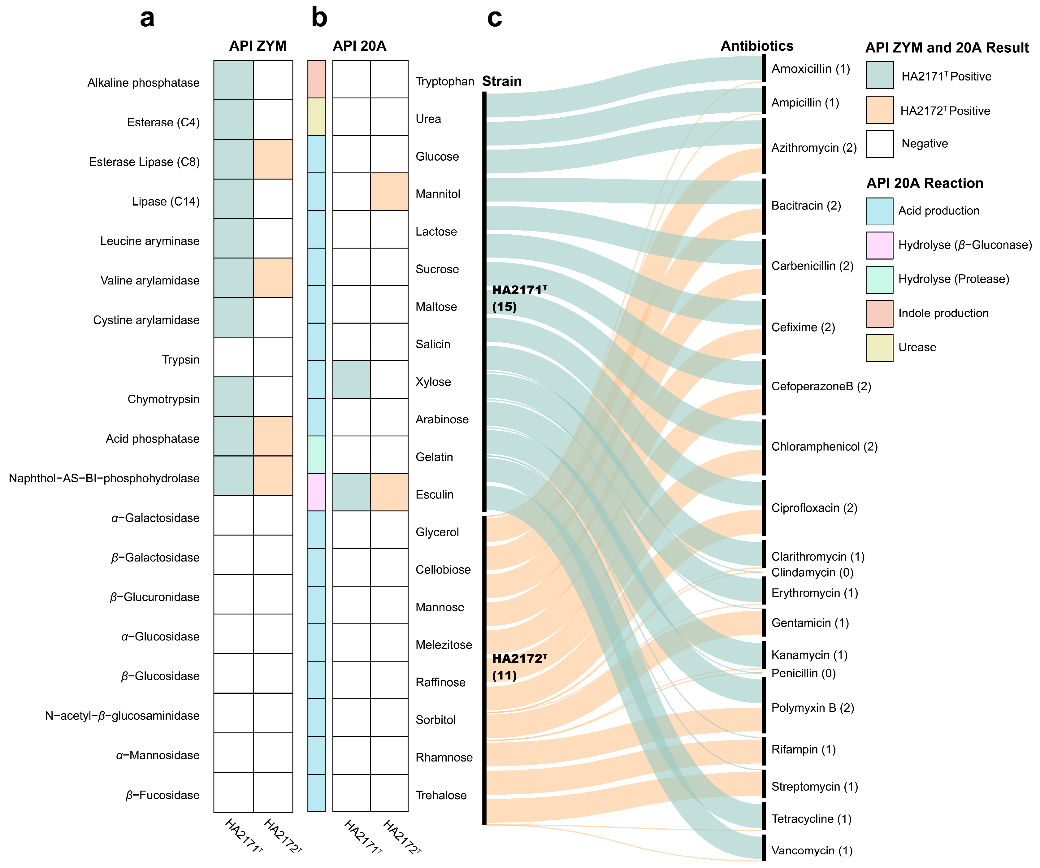 Microorganisms 13 00916 g003
