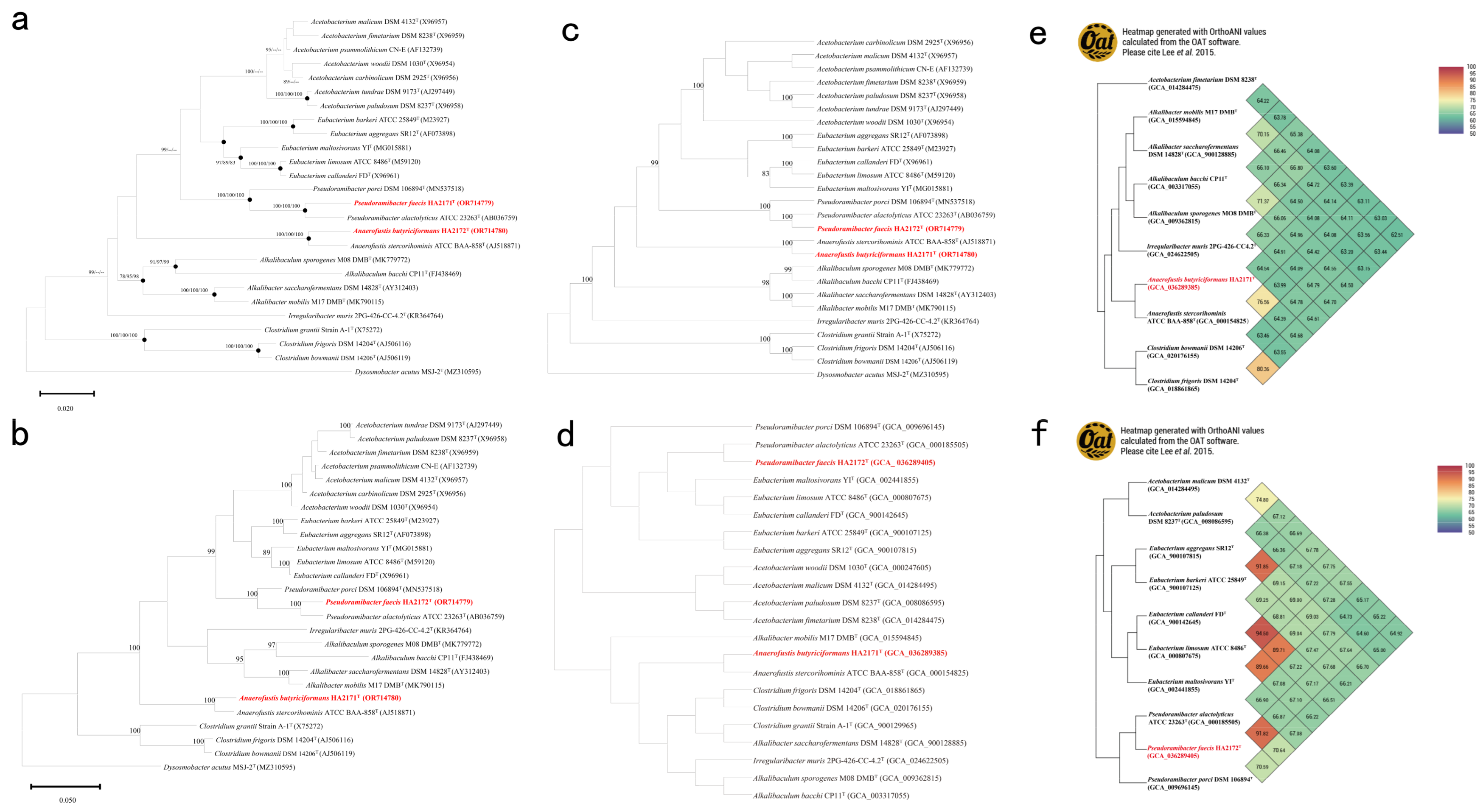 Microorganisms 13 00916 g005