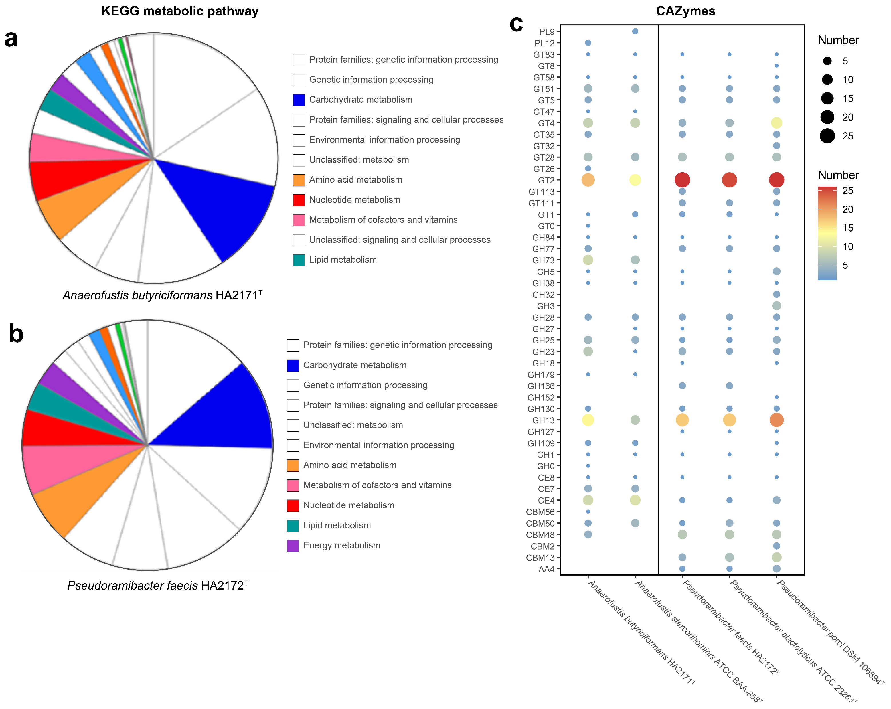 Microorganisms 13 00916 g006