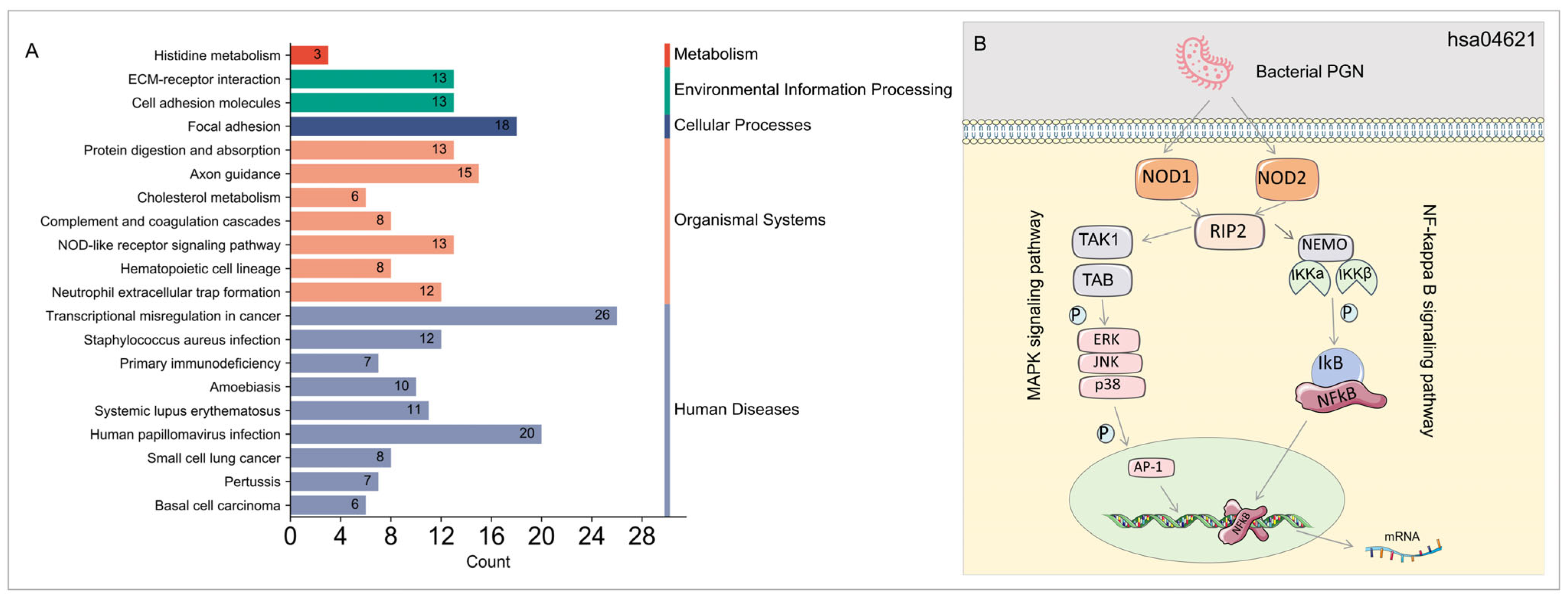 Microorganisms 13 00919 g004