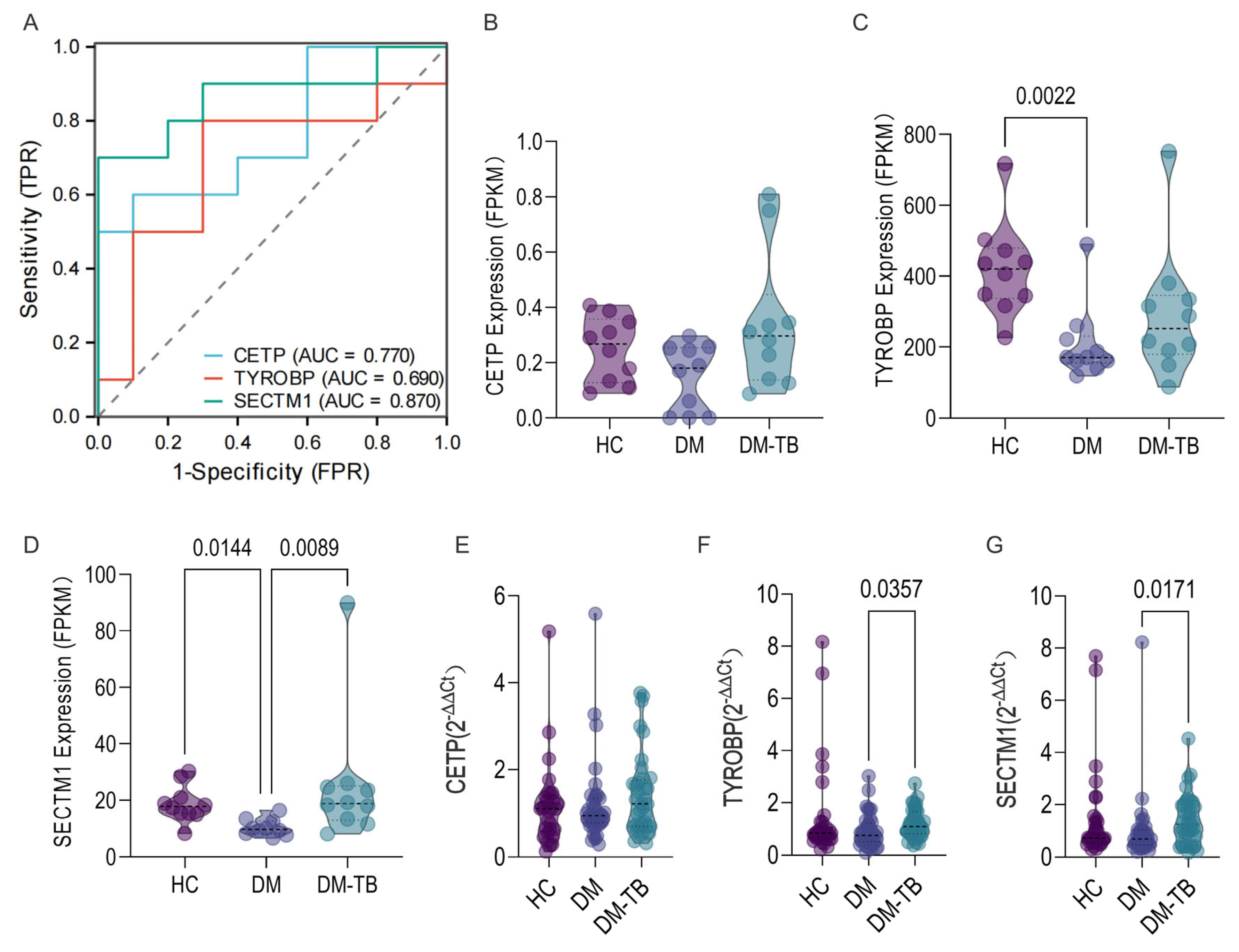 Microorganisms 13 00919 g009