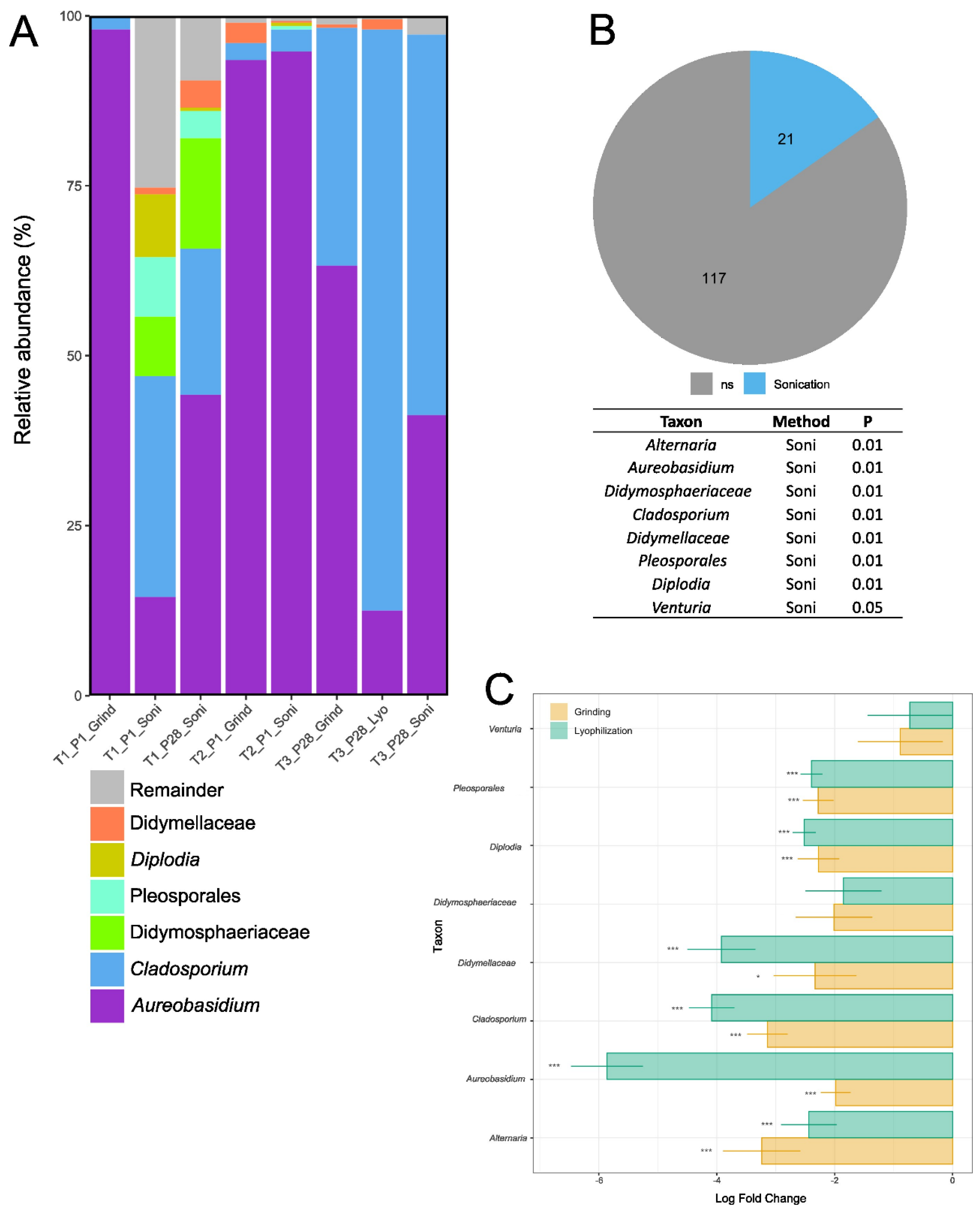 Microorganisms 13 00923 g006