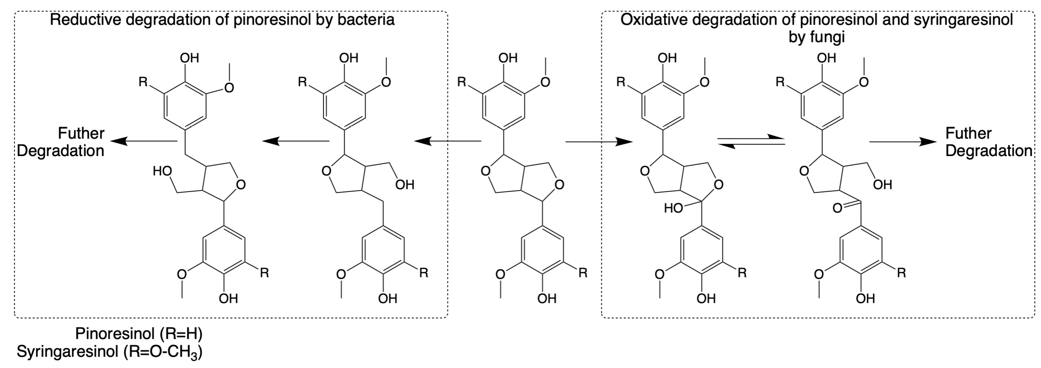 Microorganisms 13 00935 g004