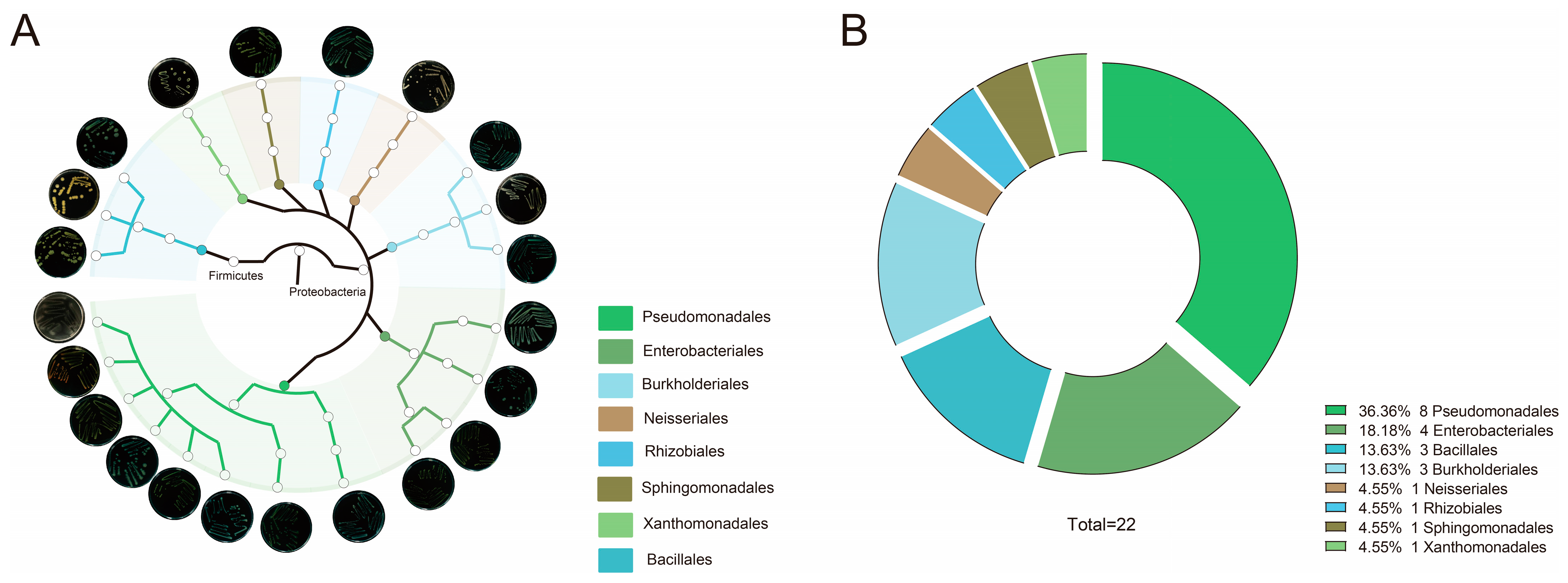 Microorganisms 13 00947 g005