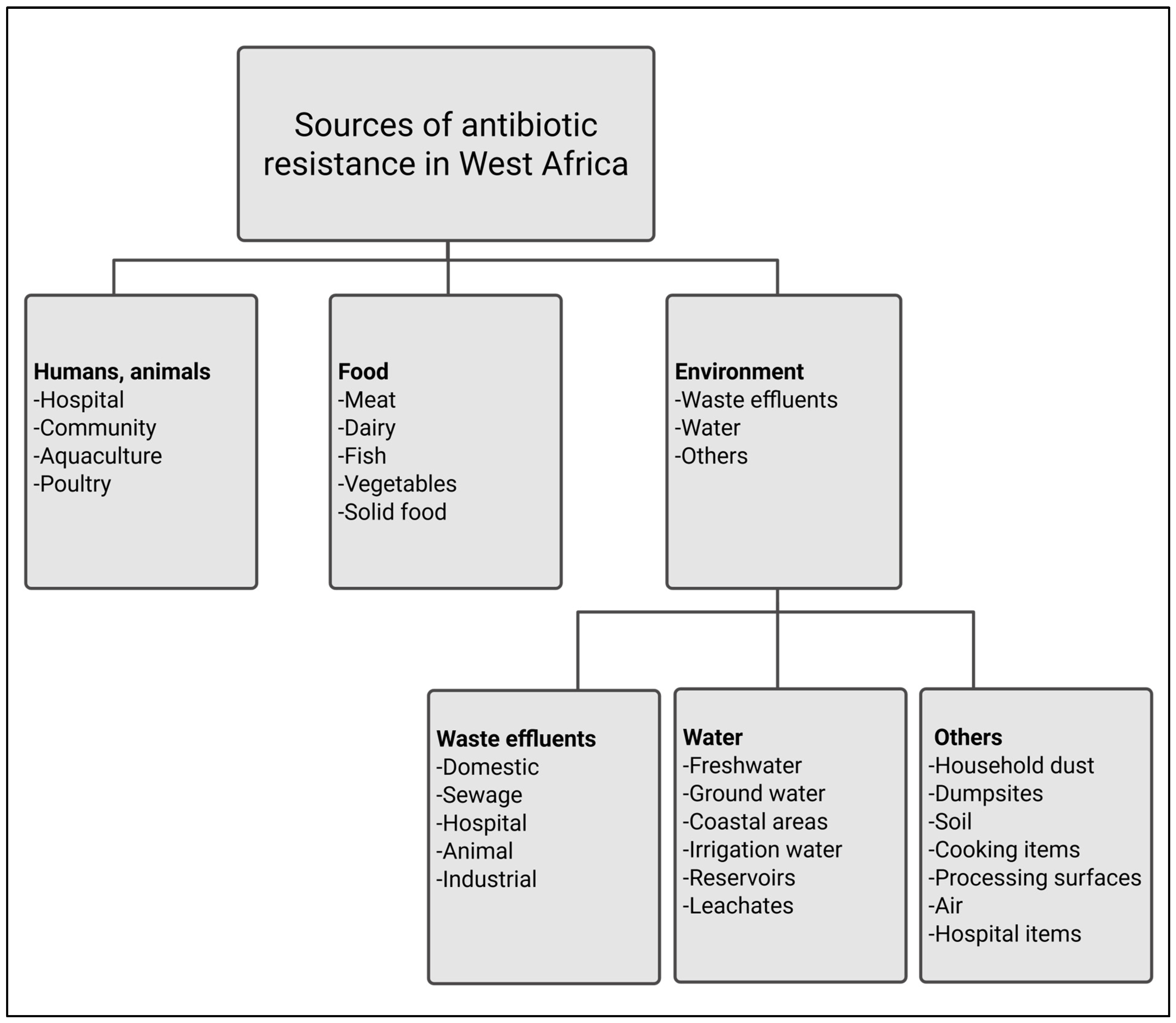 Microorganisms 13 00951 g003
