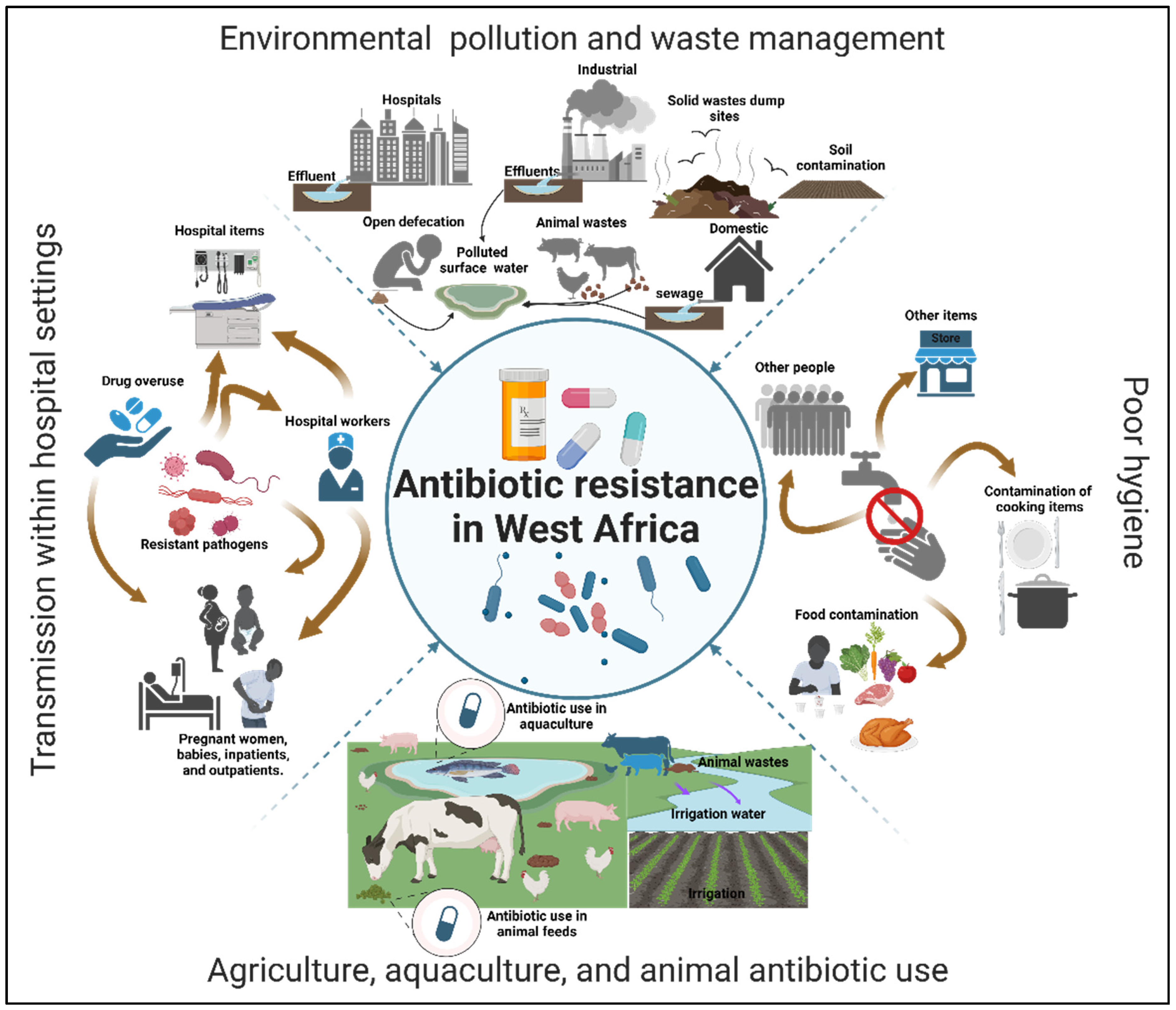 Microorganisms 13 00951 g005