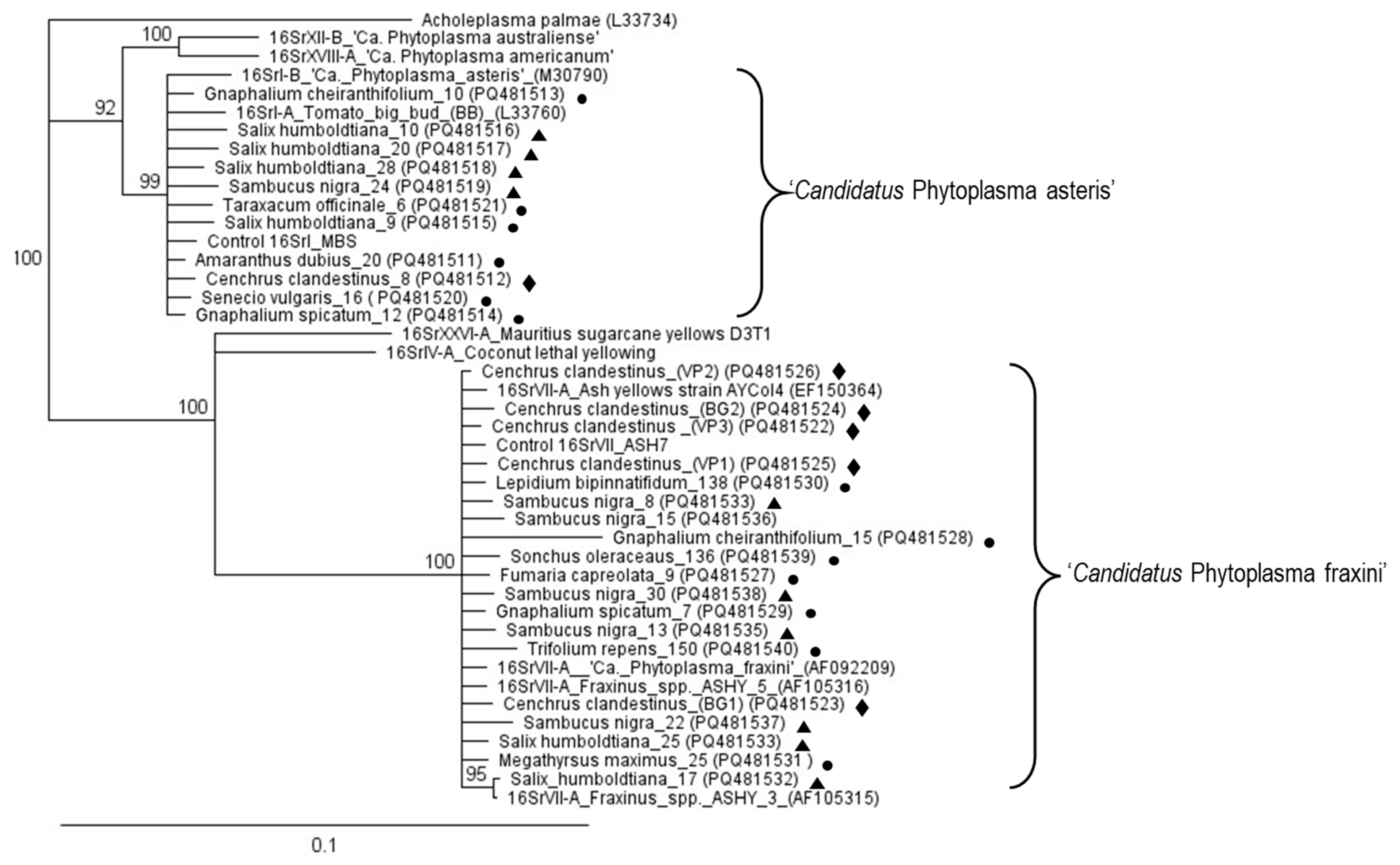 Microorganisms 13 00967 g003