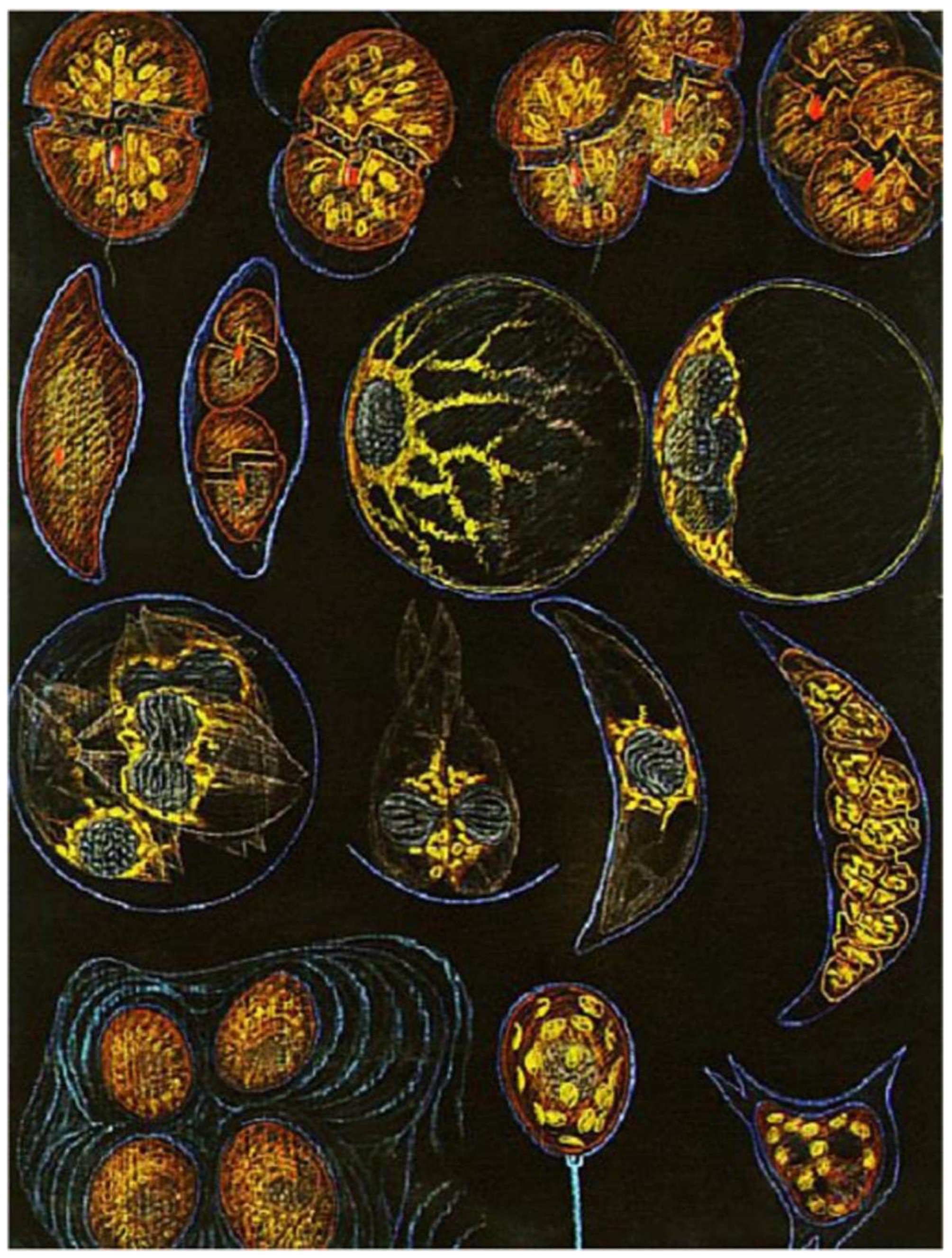 Microorganisms 13 00969 g013