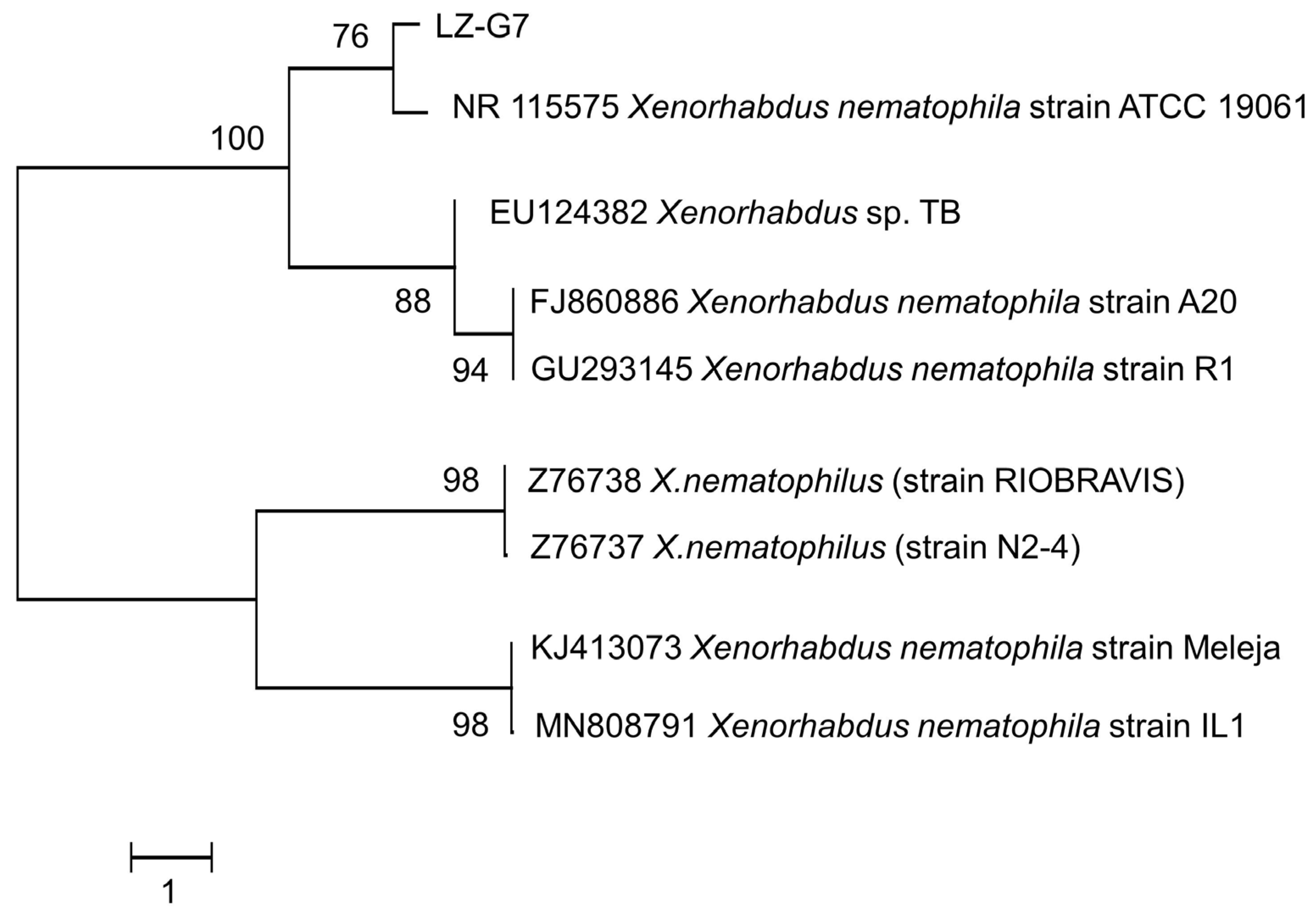 Microorganisms 13 00971 g004