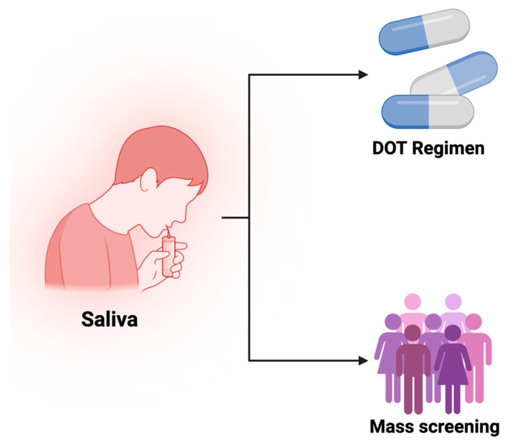Microorganisms 13 00973 g001