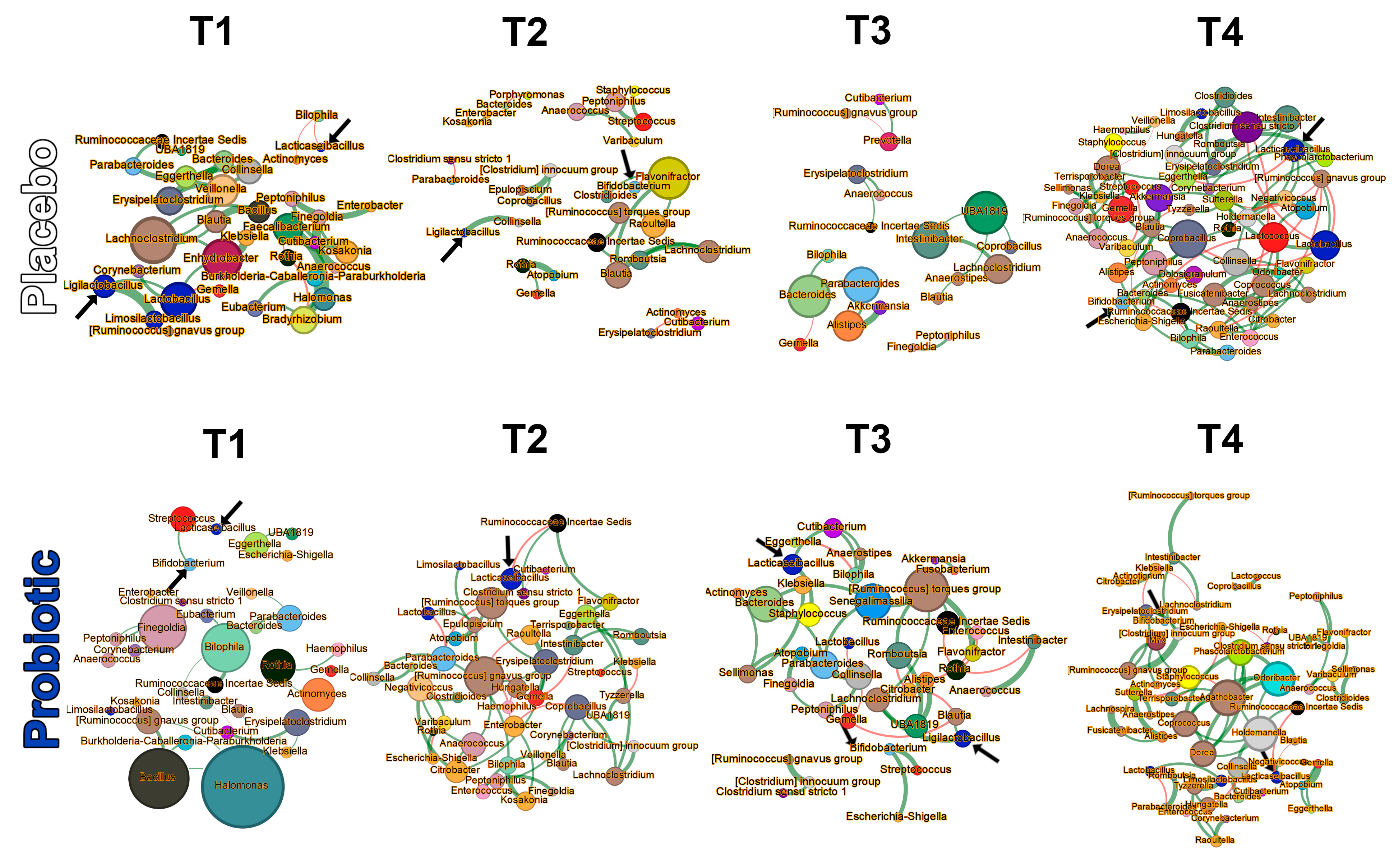 Microorganisms 13 00984 g006