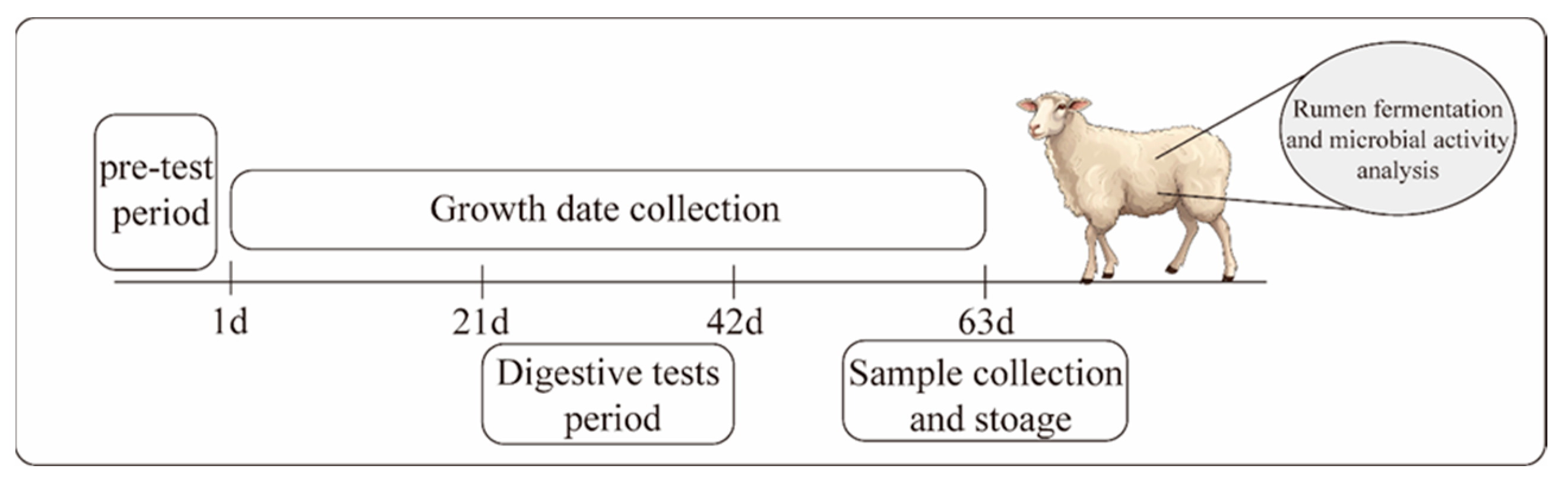 Microorganisms 13 00999 g001