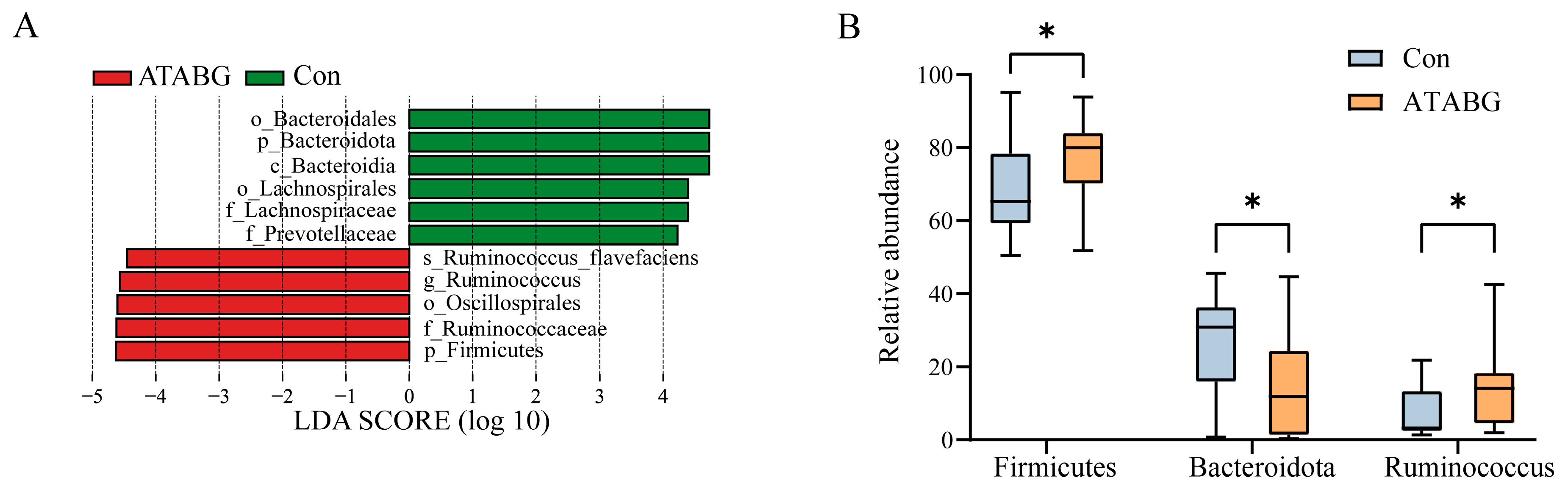 Microorganisms 13 00999 g005