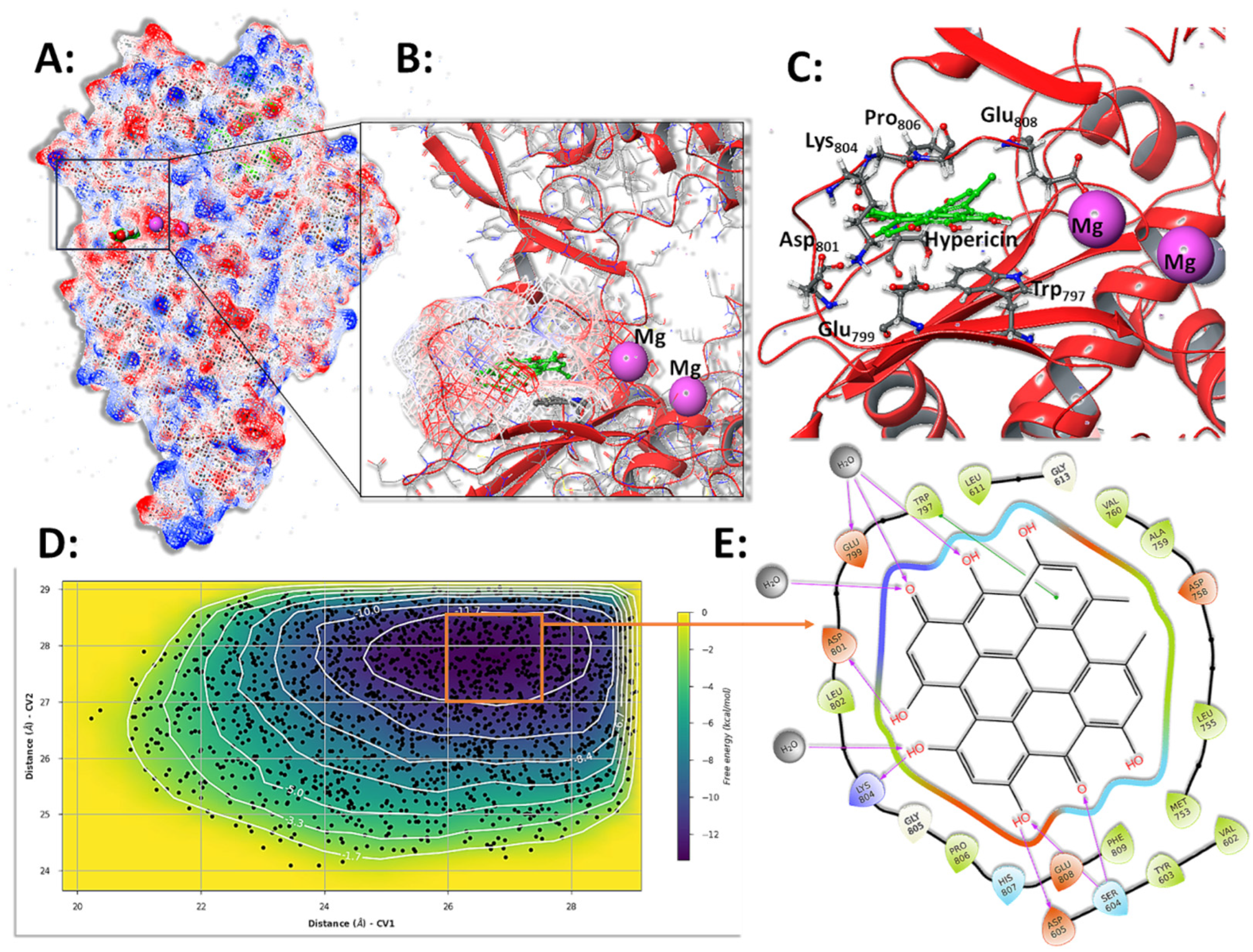 Microorganisms 13 01004 g007
