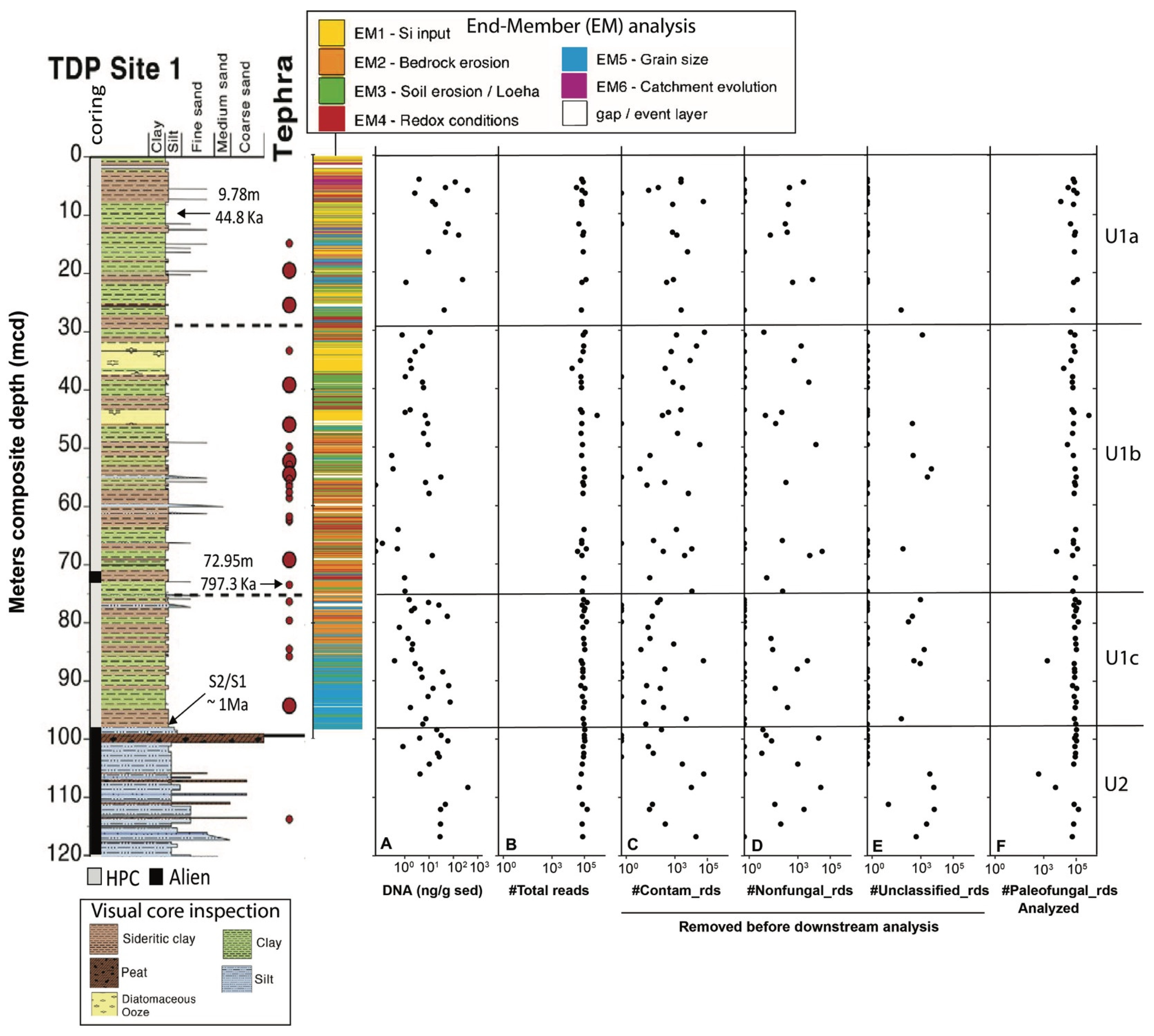 Microorganisms 13 01005 g002
