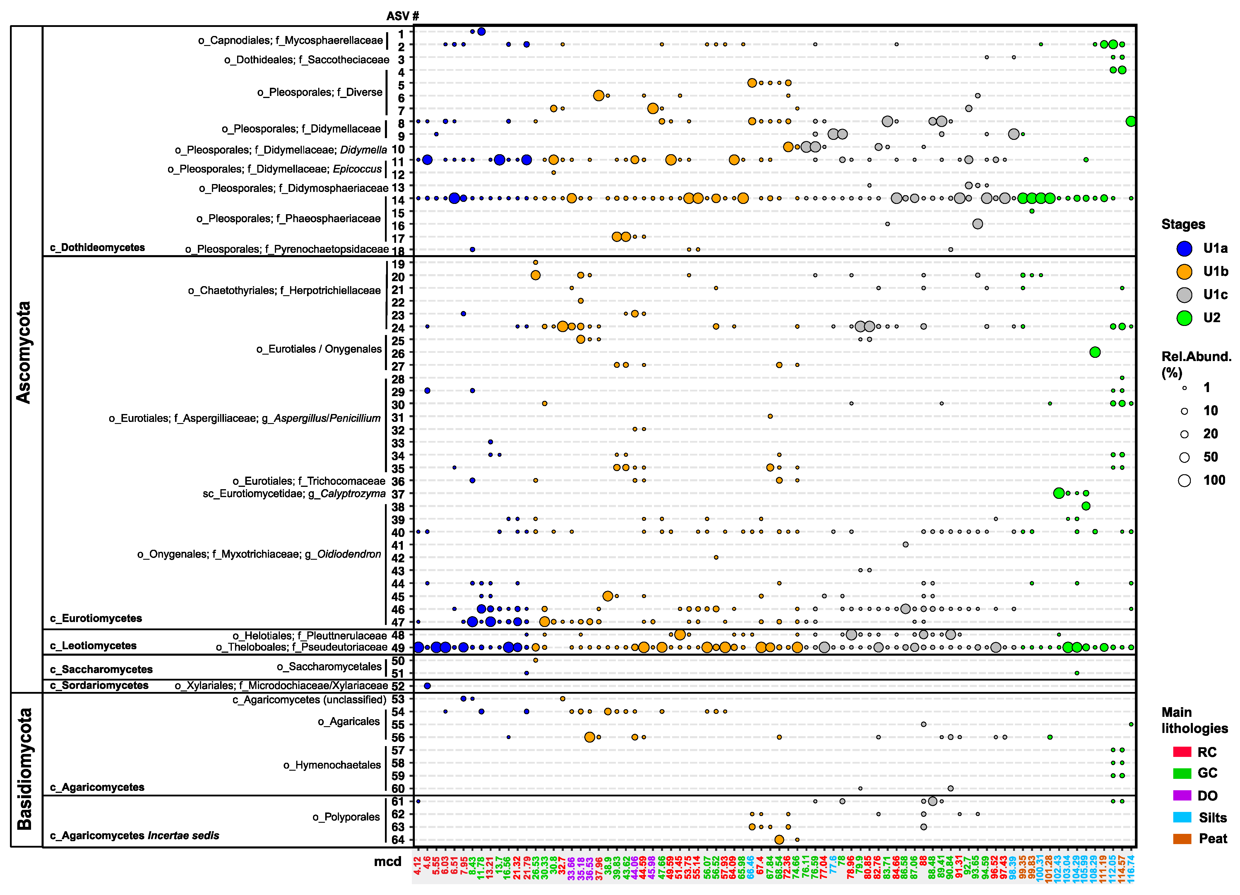 Microorganisms 13 01005 g003