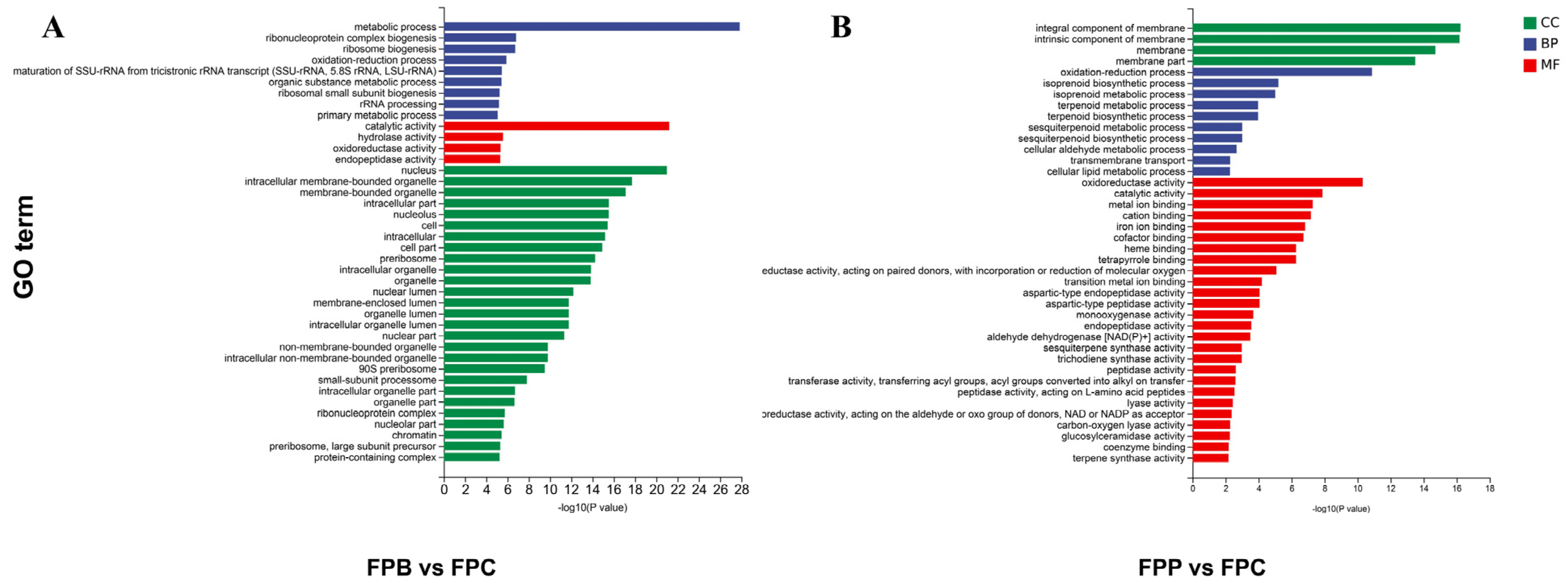 Microorganisms 13 01006 g003