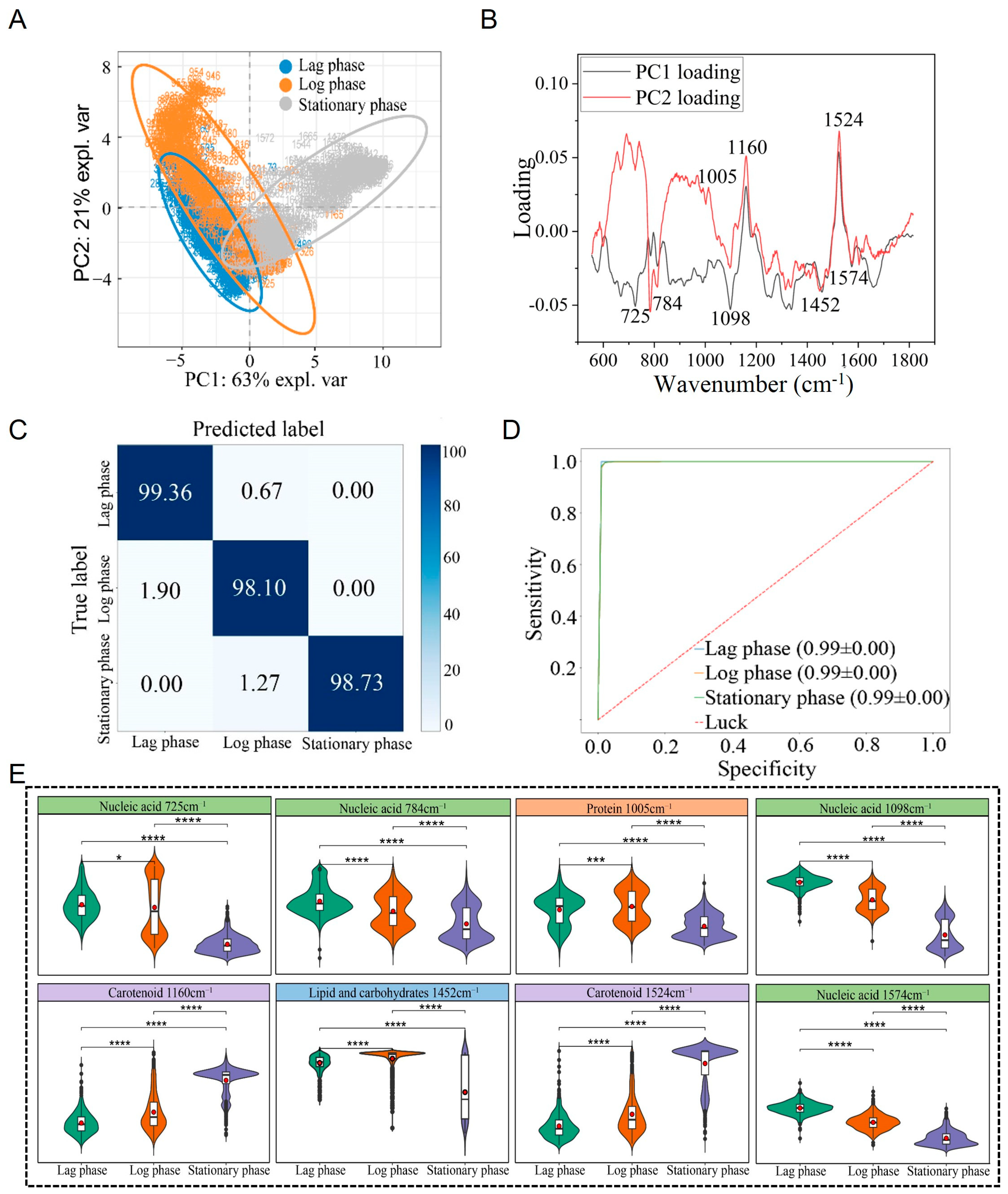 Microorganisms 13 01333 g005