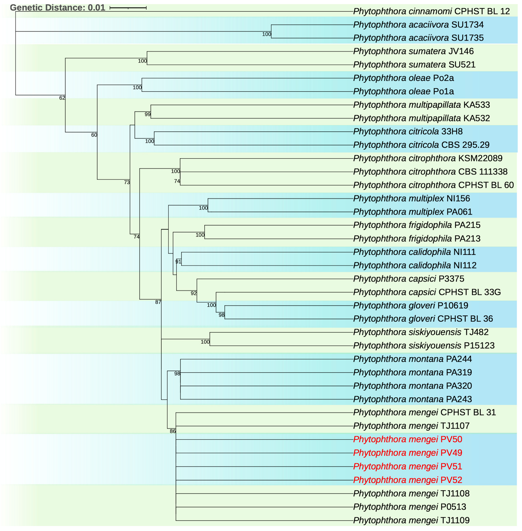 Microorganisms 13 01471 g003