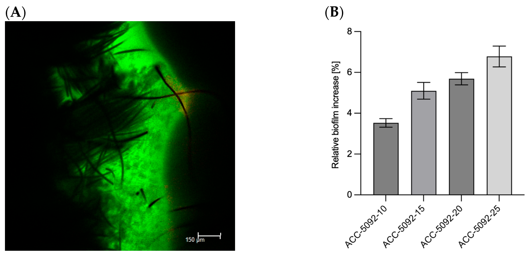 Microorganisms 13 01720 g001