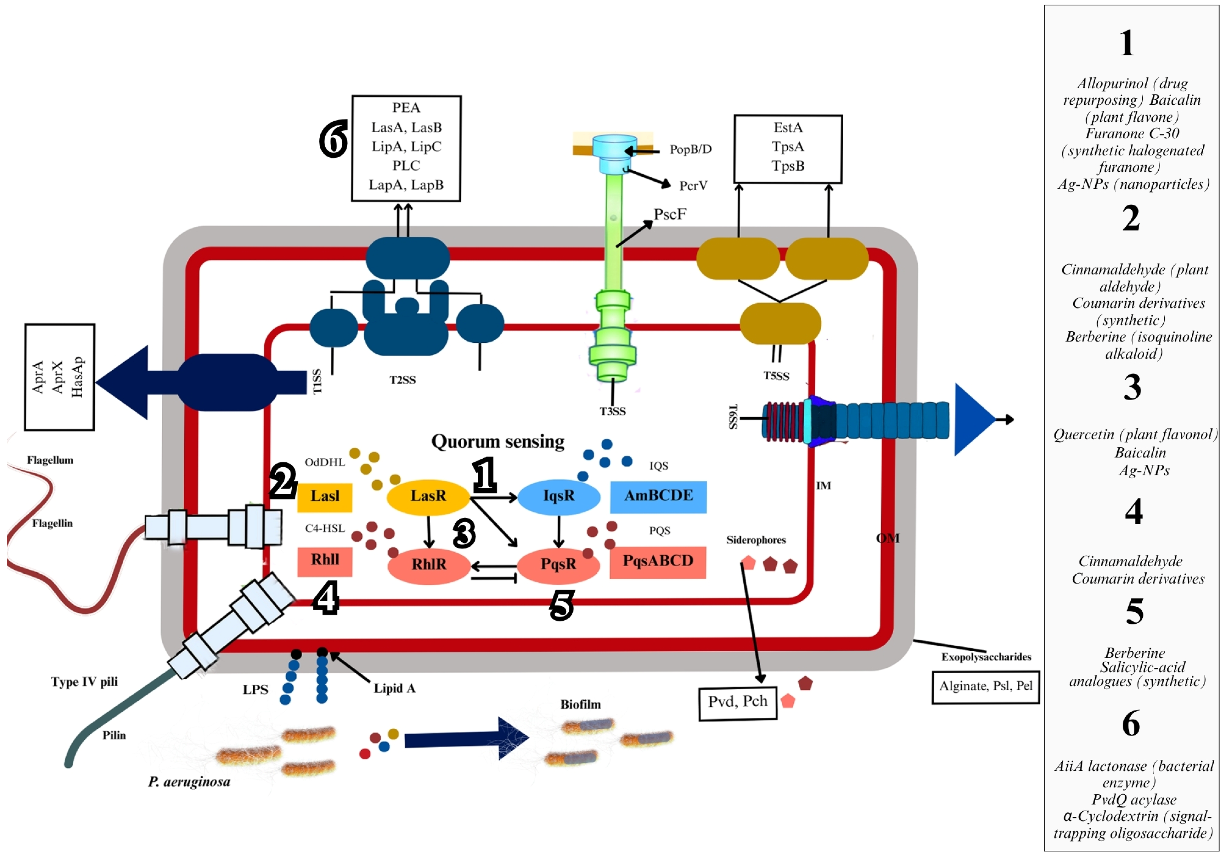 Microorganisms 13 01838 g001 Microorganisms 13 01838 g001