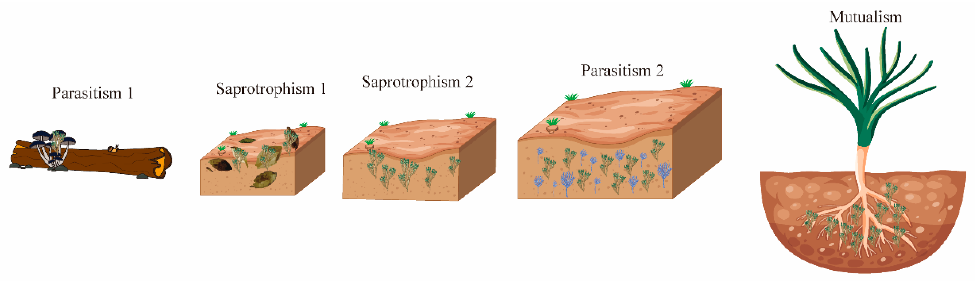 Microorganisms 13 01840 g001 Microorganisms 13 01840 g001