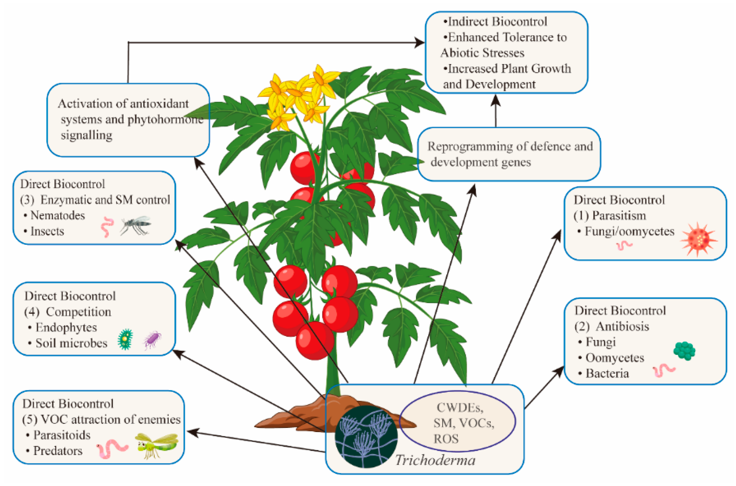 Microorganisms 13 01840 g002 Microorganisms 13 01840 g002