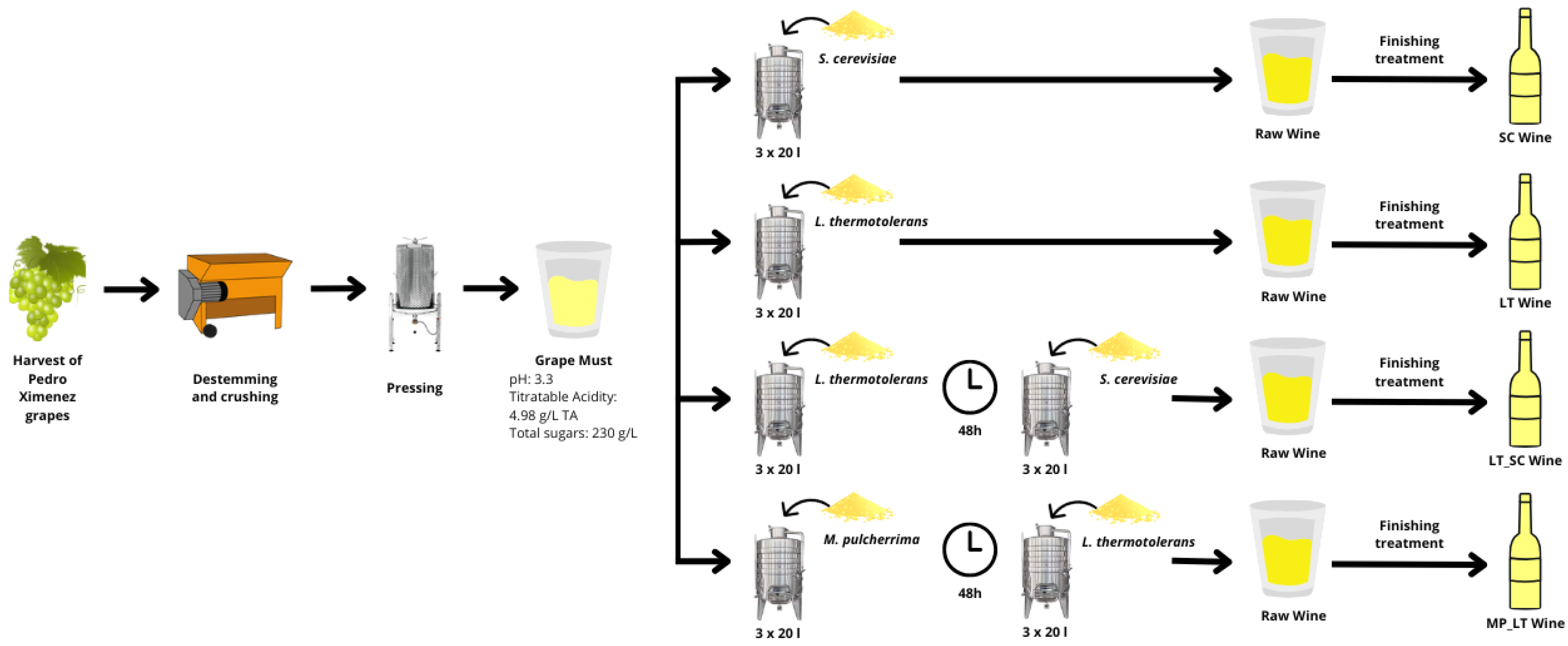 Microorganisms 13 01908 g001 Microorganisms 13 01908 g001