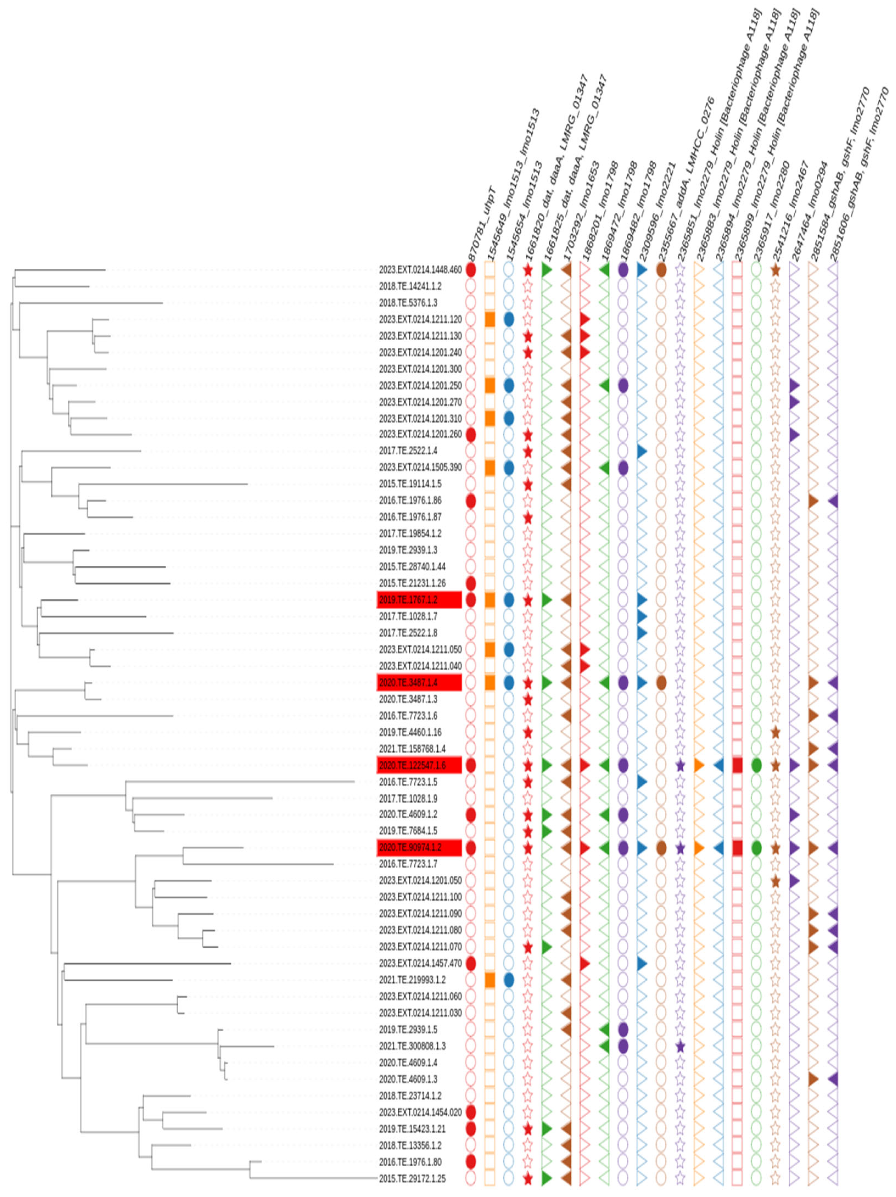 Microorganisms 13 02011 g006 Microorganisms 13 02011 g006