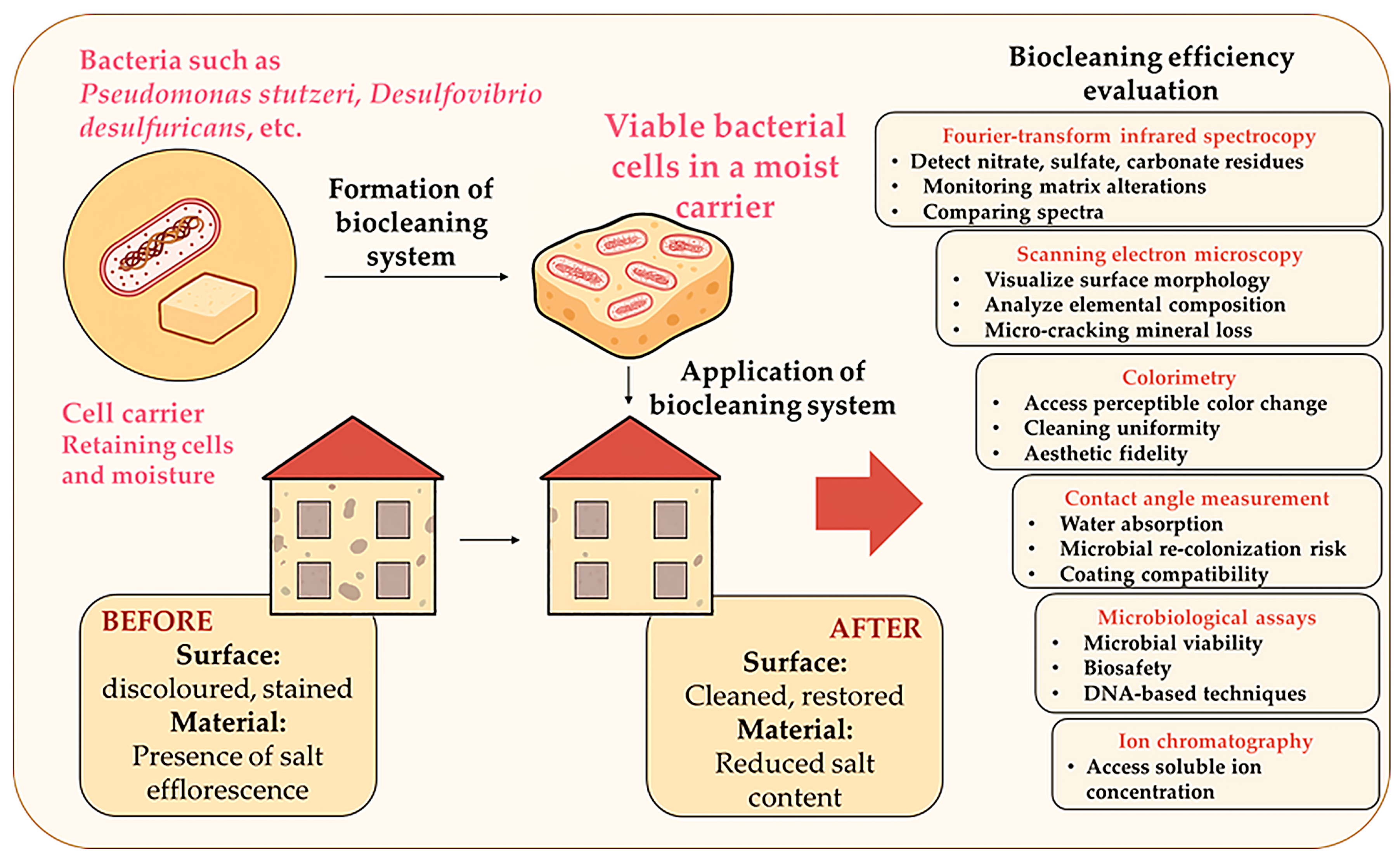Microorganisms 13 02051 g005 Microorganisms 13 02051 g005