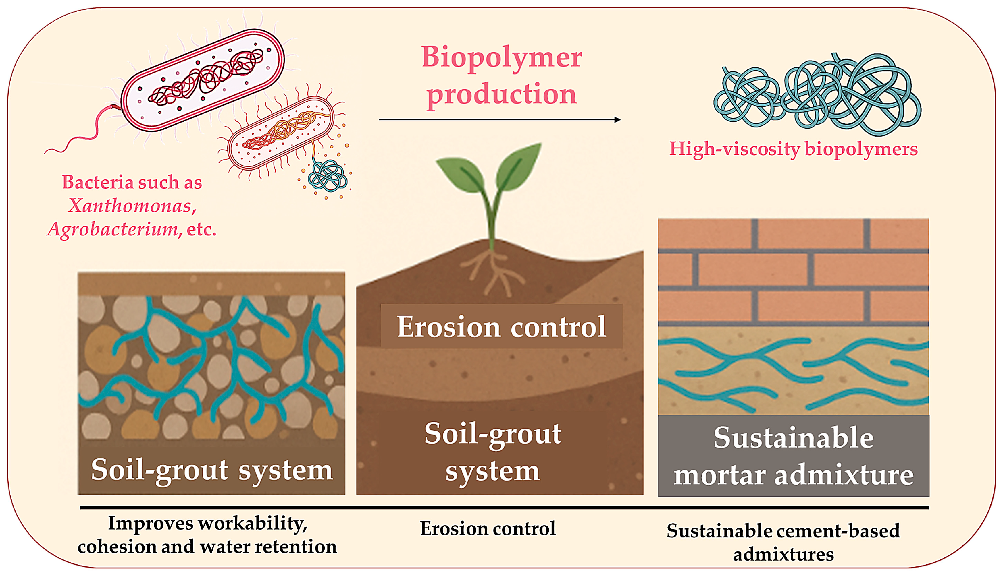 Microorganisms 13 02051 g007 Microorganisms 13 02051 g007