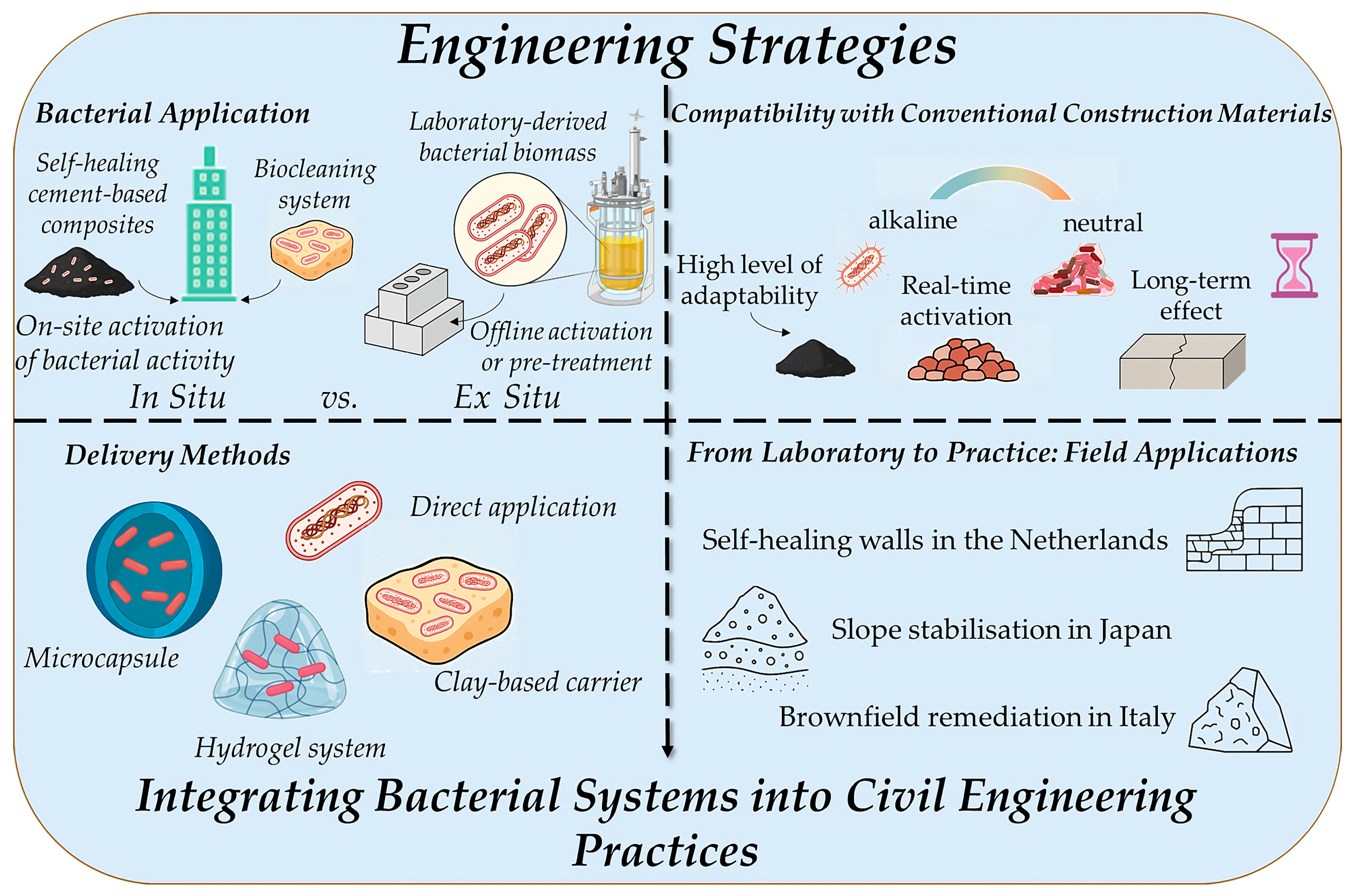 Microorganisms 13 02051 g009 Microorganisms 13 02051 g009