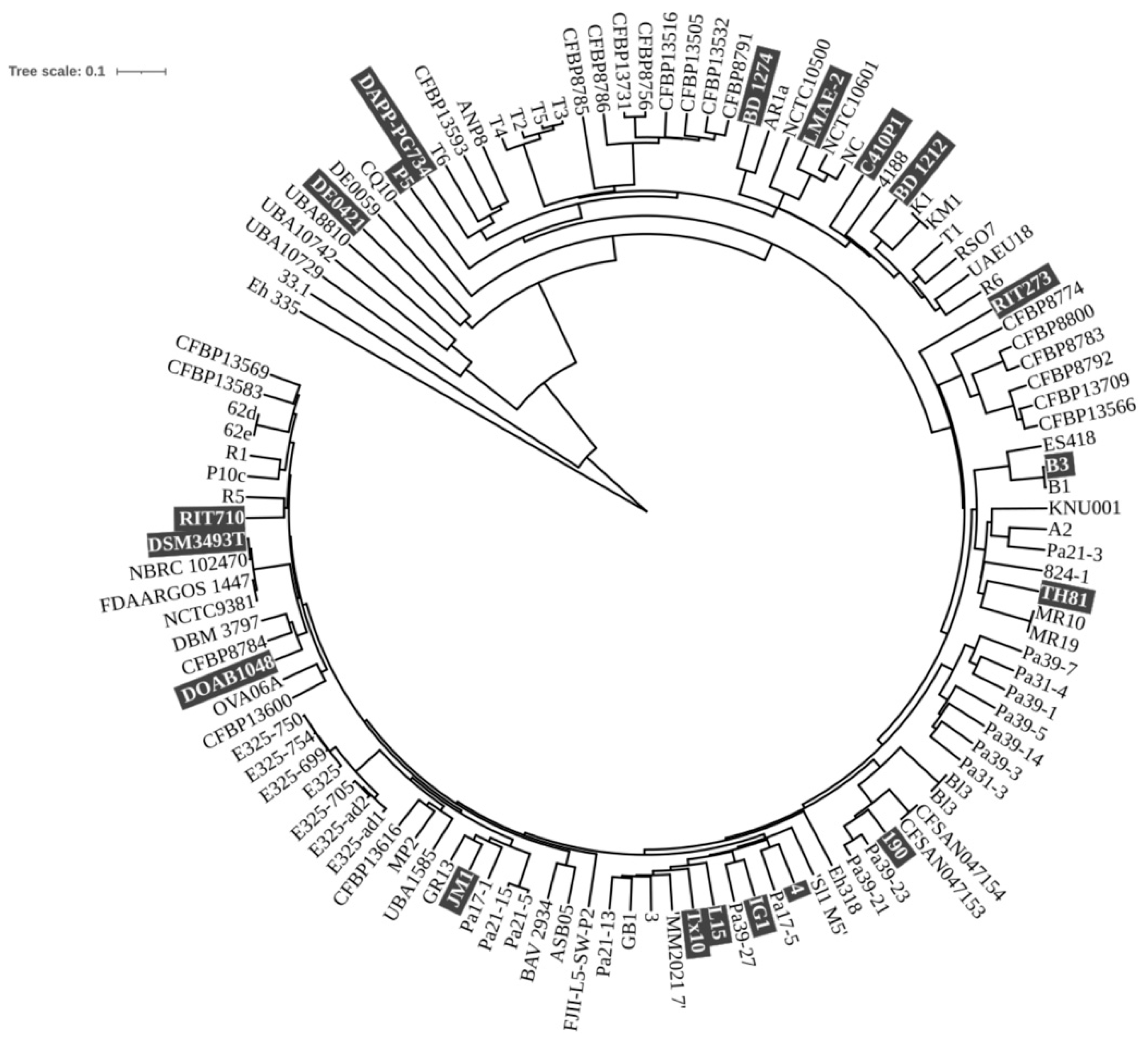Microorganisms 13 02138 g001 Microorganisms 13 02138 g001