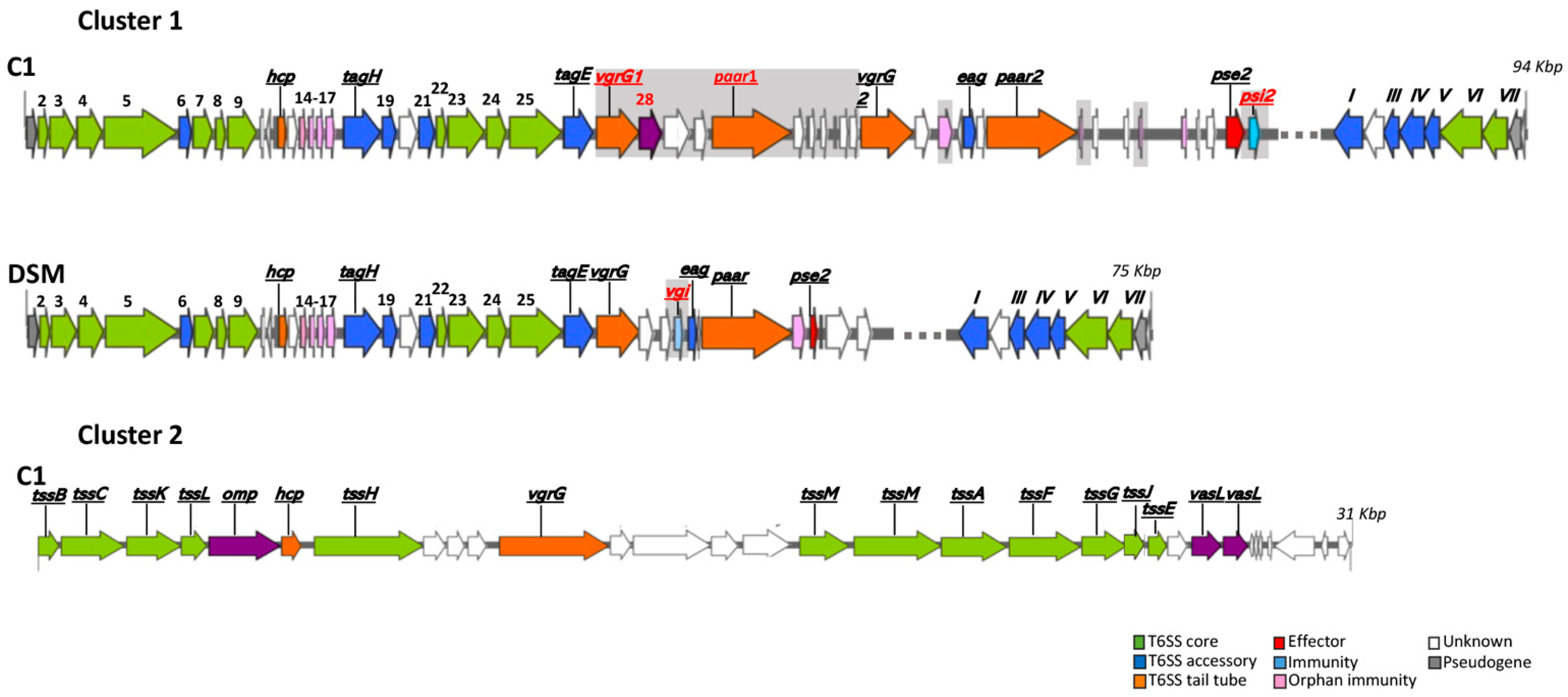 Microorganisms 13 02138 g007 Microorganisms 13 02138 g007