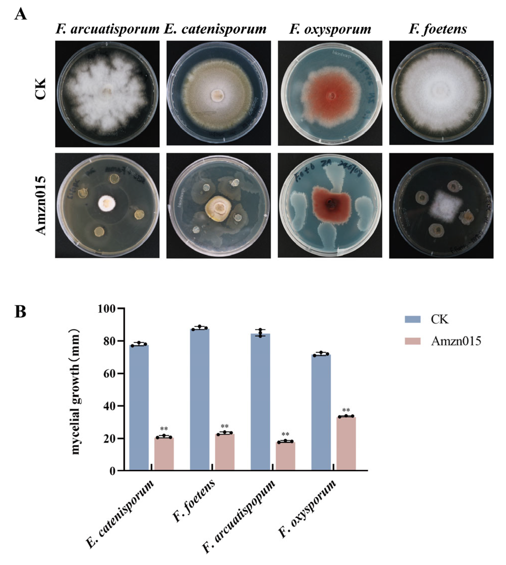 Microorganisms 13 02300 g002 Microorganisms 13 02300 g002