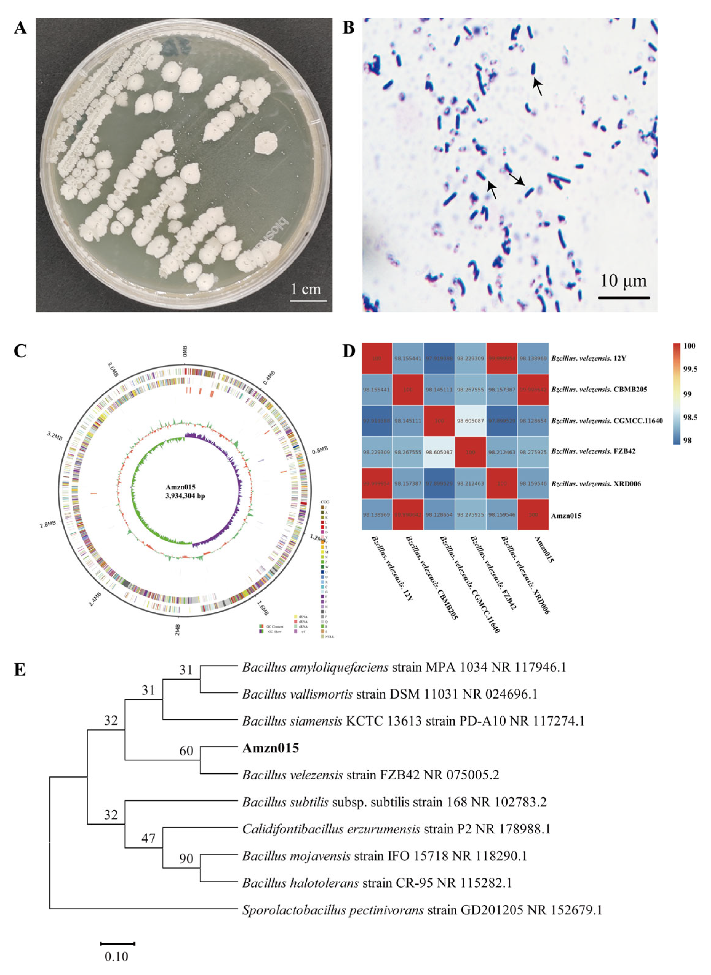 Microorganisms 13 02300 g003 Microorganisms 13 02300 g003