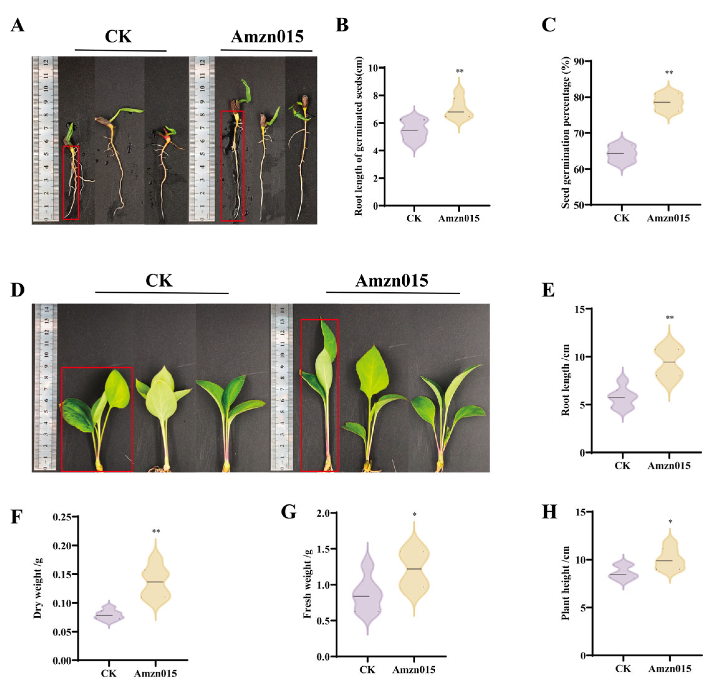 Microorganisms 13 02300 g005 Microorganisms 13 02300 g005