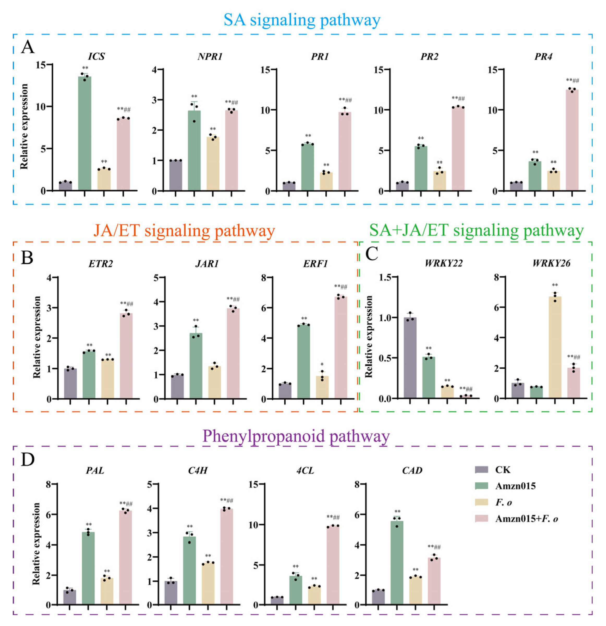 Microorganisms 13 02300 g008 Microorganisms 13 02300 g008