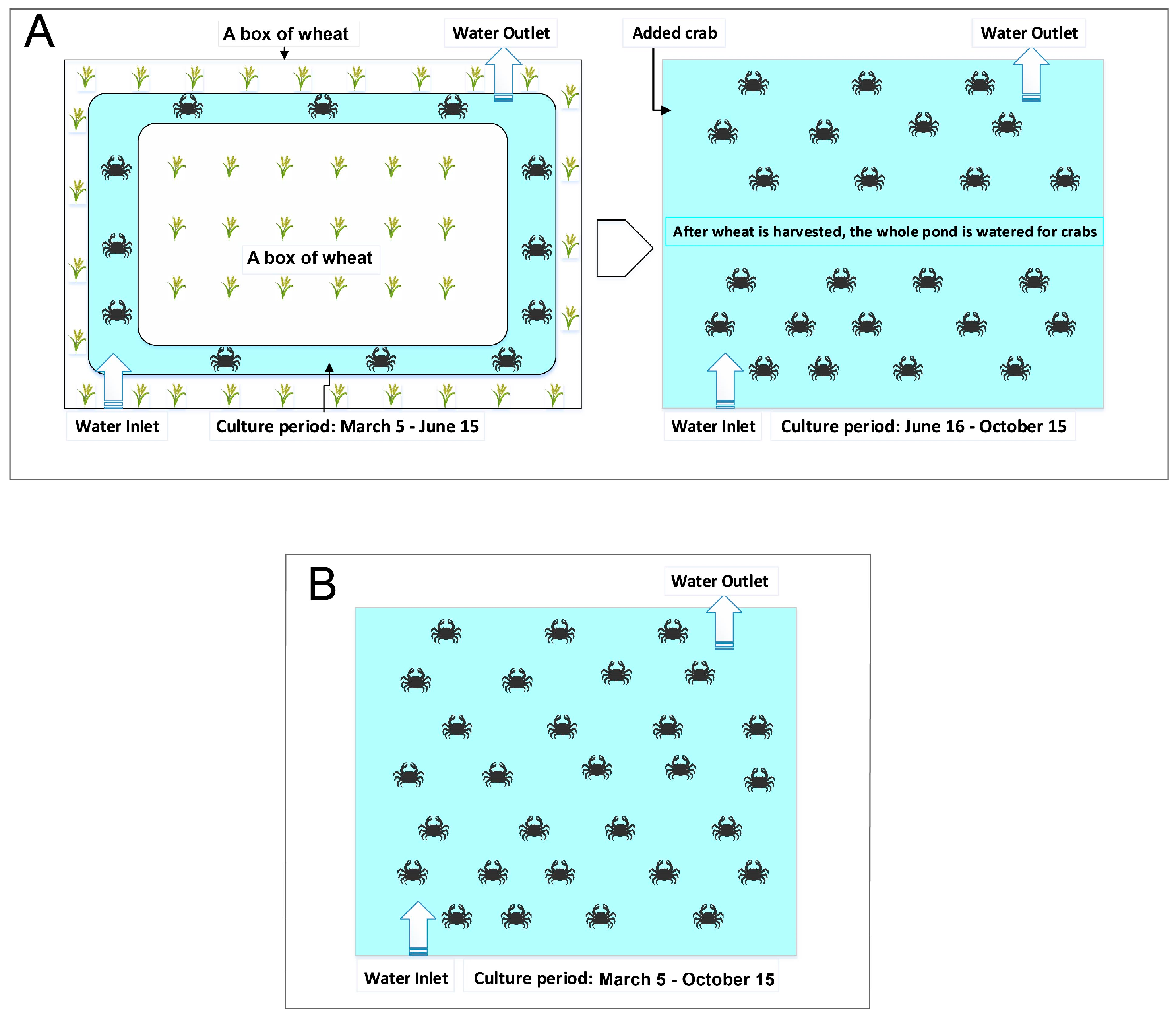 Microorganisms 13 02396 g001 Microorganisms 13 02396 g001