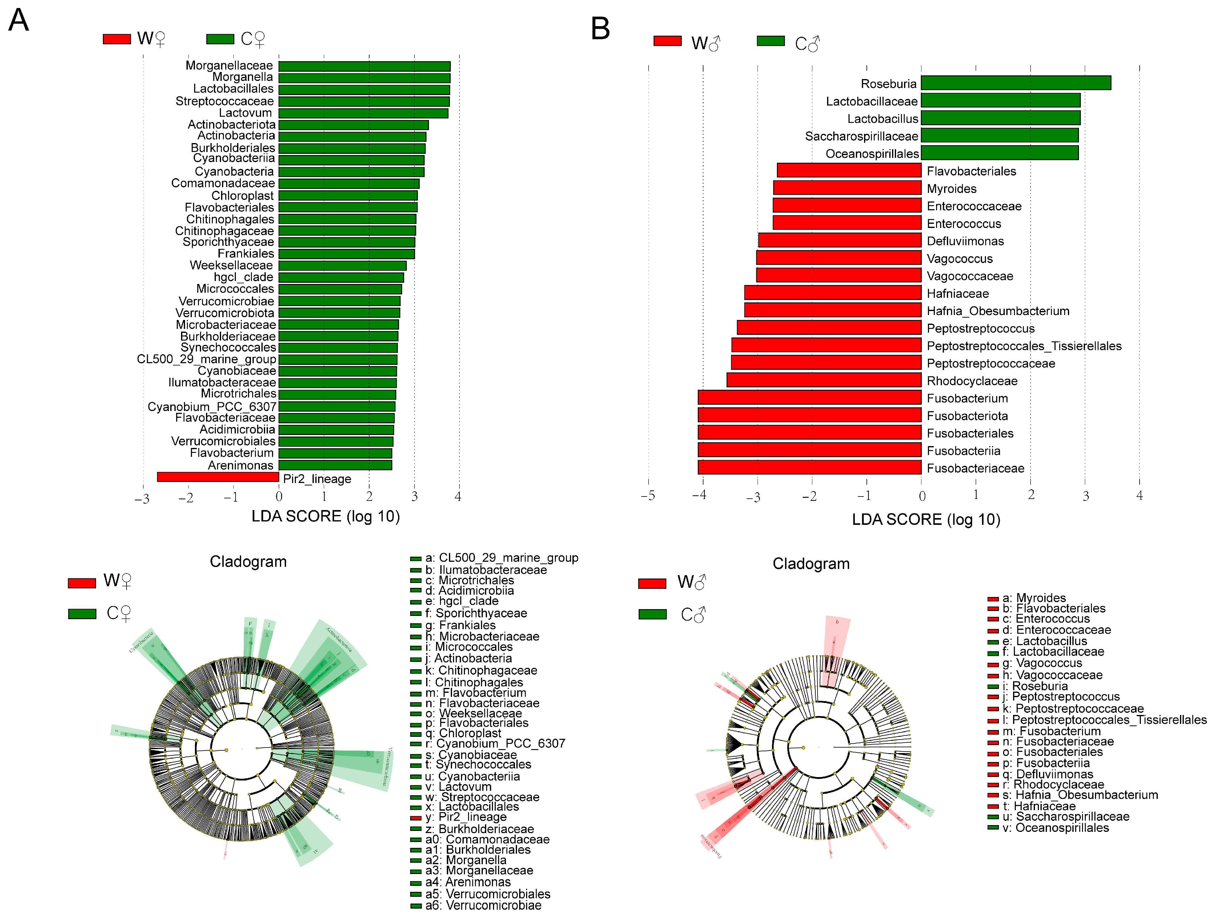 Microorganisms 13 02396 g006 Microorganisms 13 02396 g006