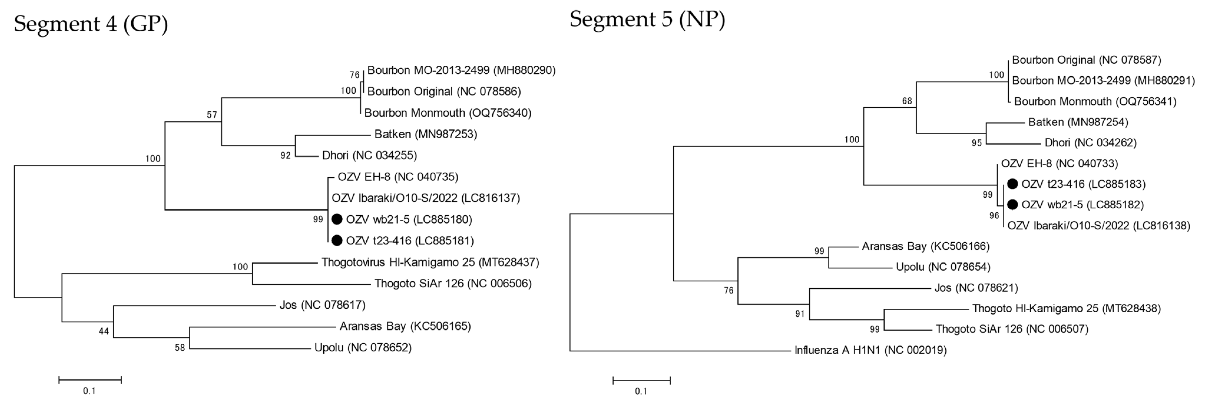 Microorganisms 13 02421 g001 Microorganisms 13 02421 g001