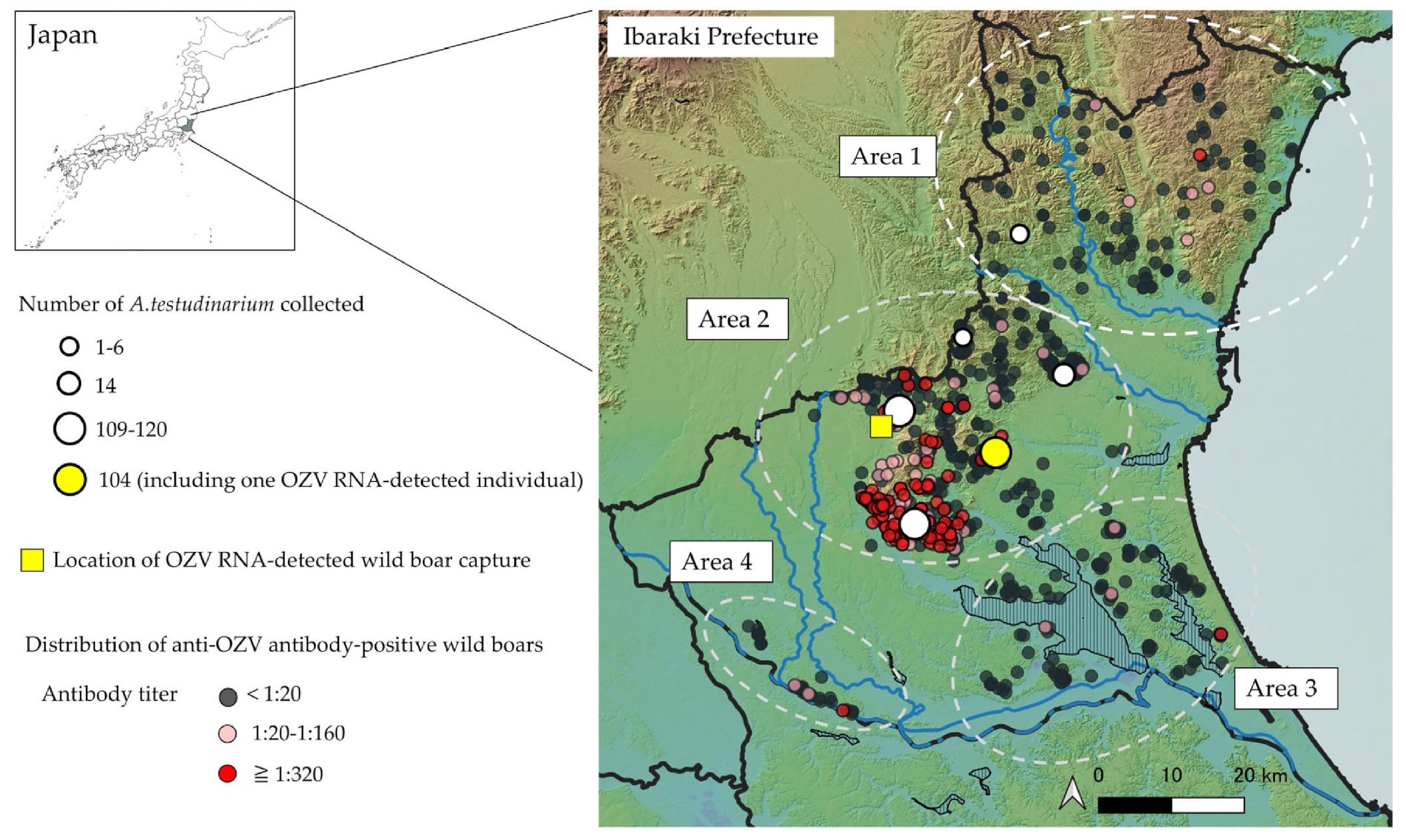 Microorganisms 13 02421 g002 Microorganisms 13 02421 g002
