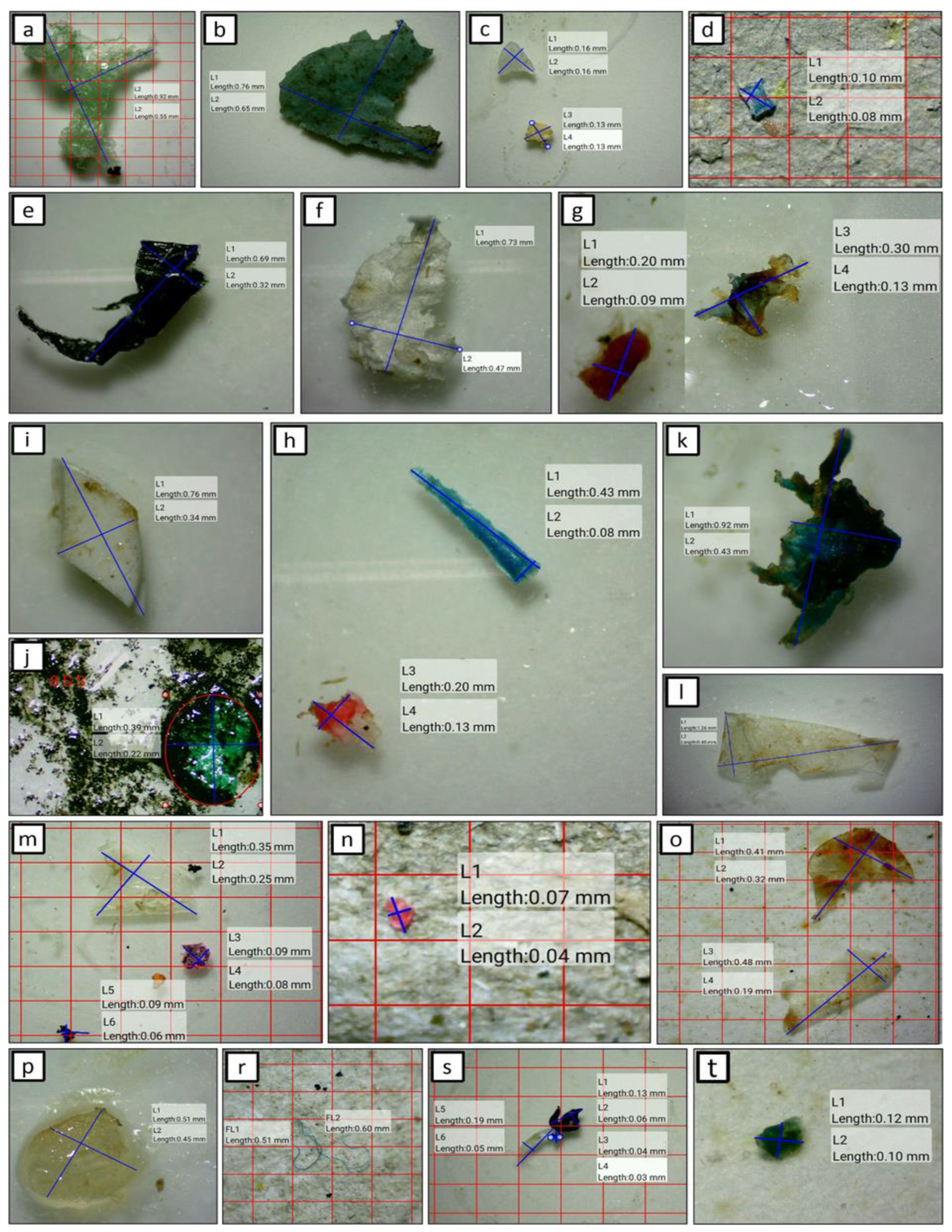 Microplastics 01 00011 g005 Microplastics 01 00011 g005